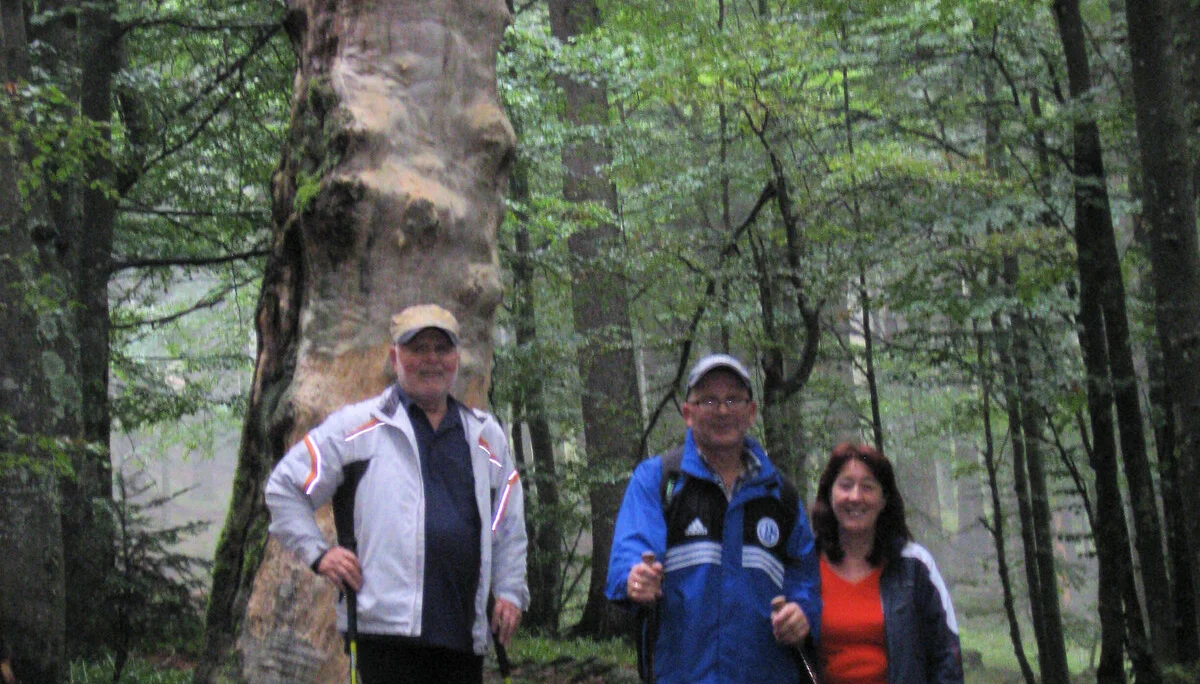 Falkenstein  | © Falkenstein 