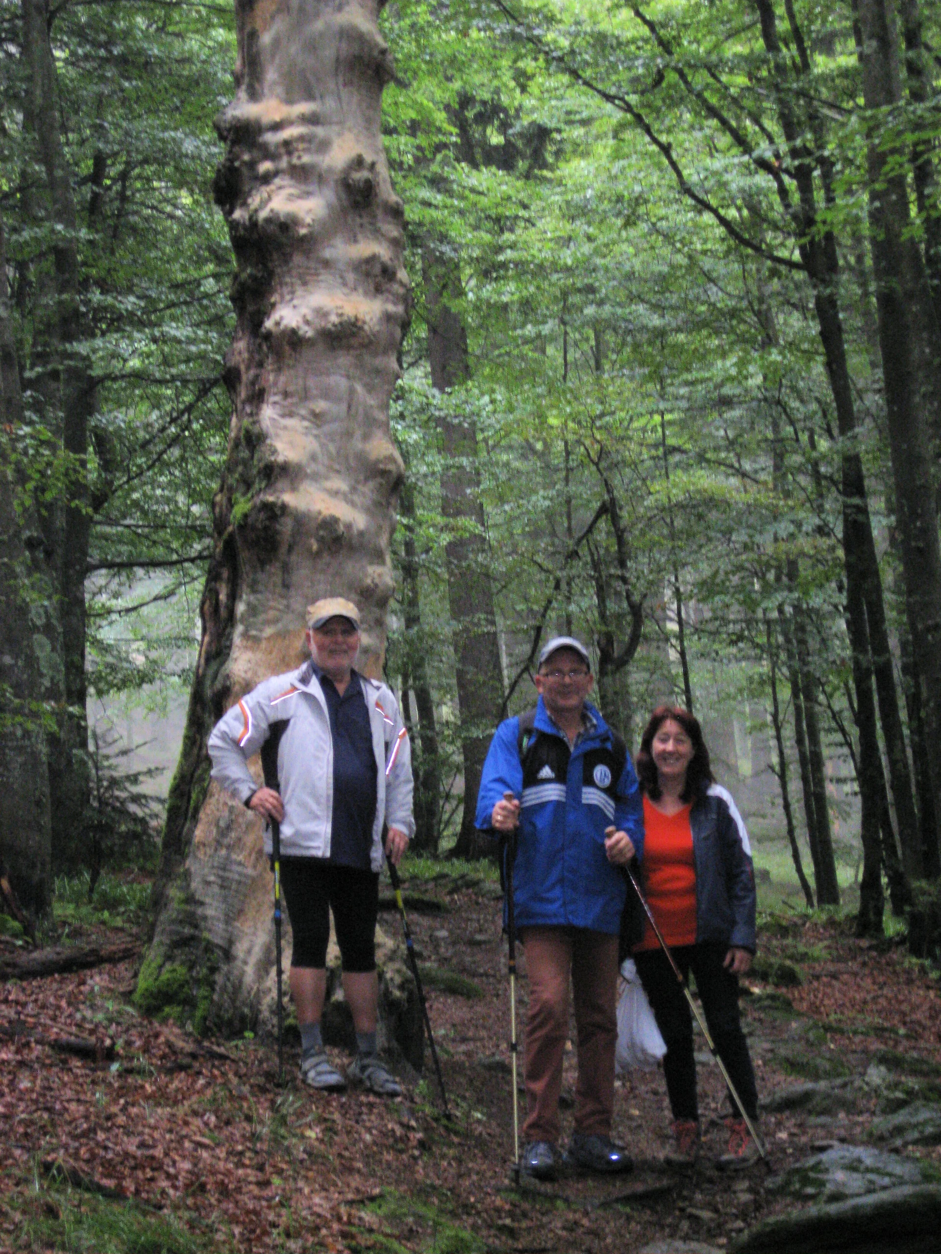 Falkenstein  | © Falkenstein 