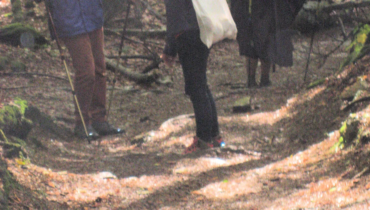 Falkenstein  | © Falkenstein 