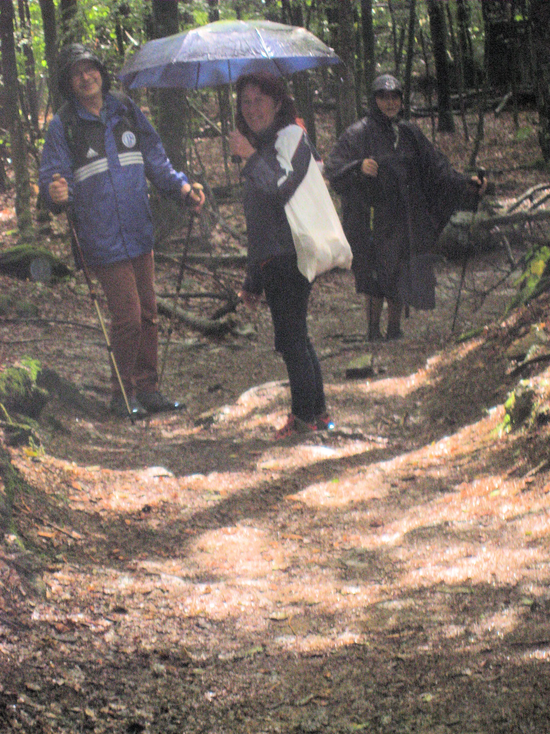 Falkenstein  | © Falkenstein 