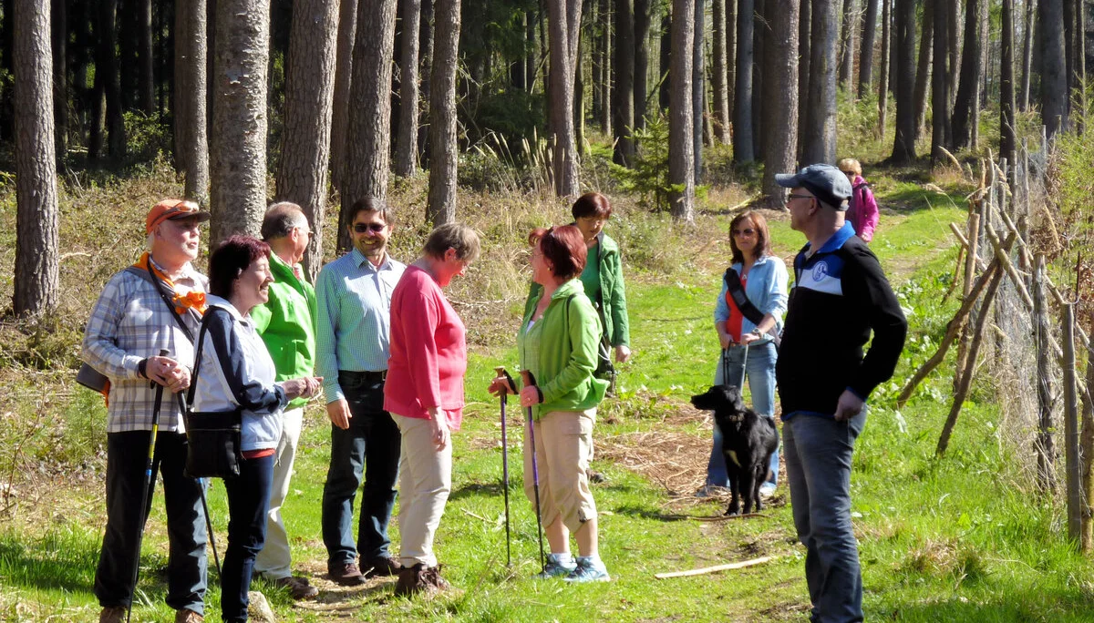 Mooshölzer | © Mooshölzer