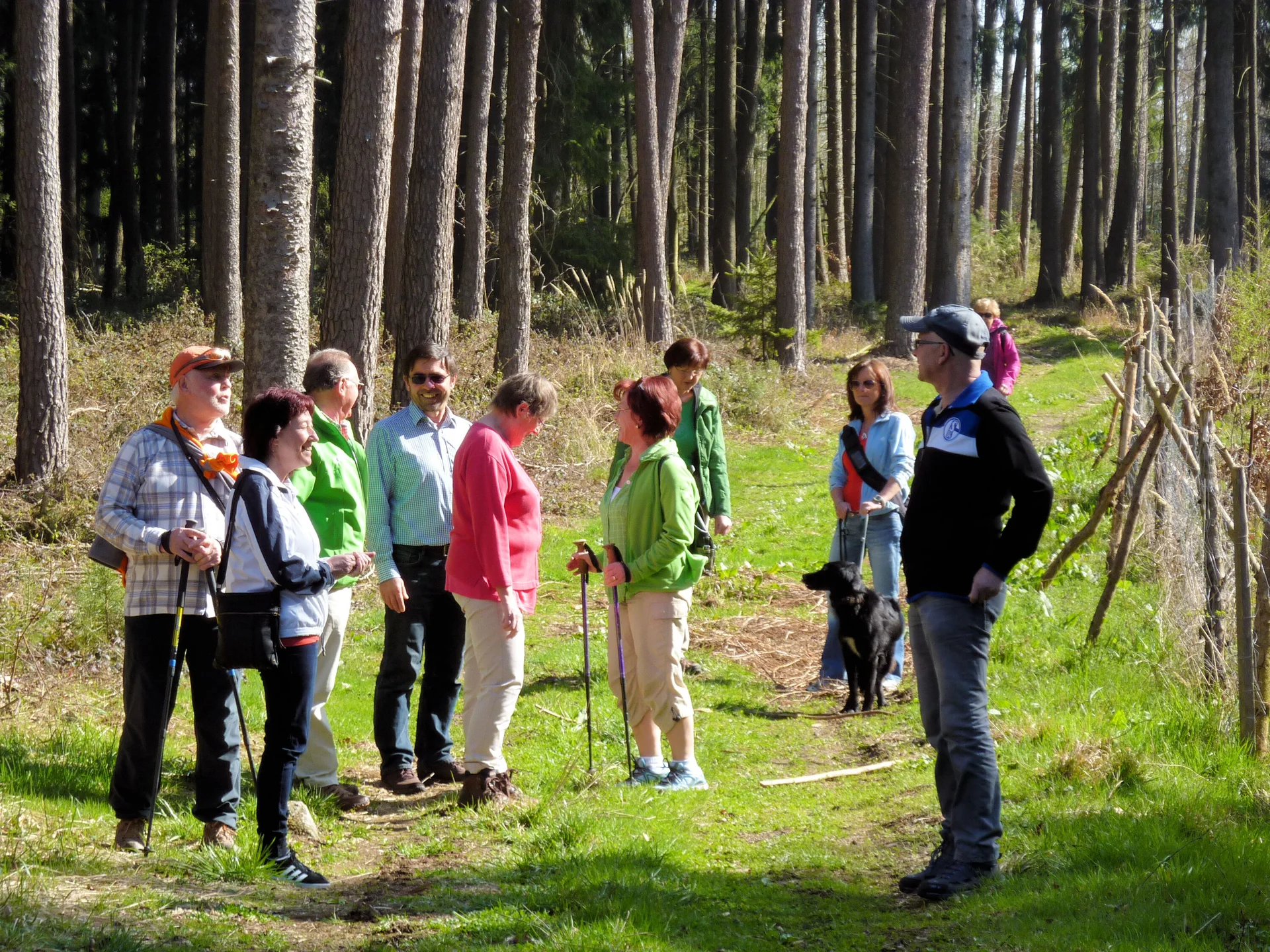 Mooshölzer | © Mooshölzer