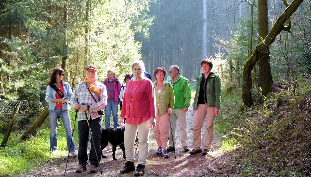 Mooshölzer | © Mooshölzer