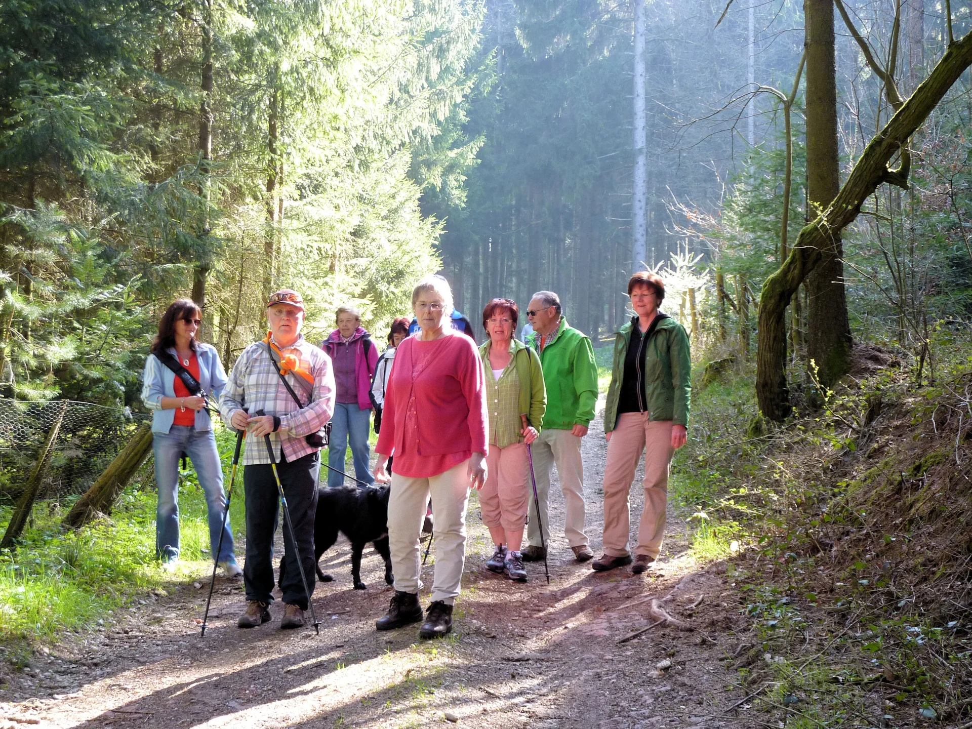 Mooshölzer | © Mooshölzer