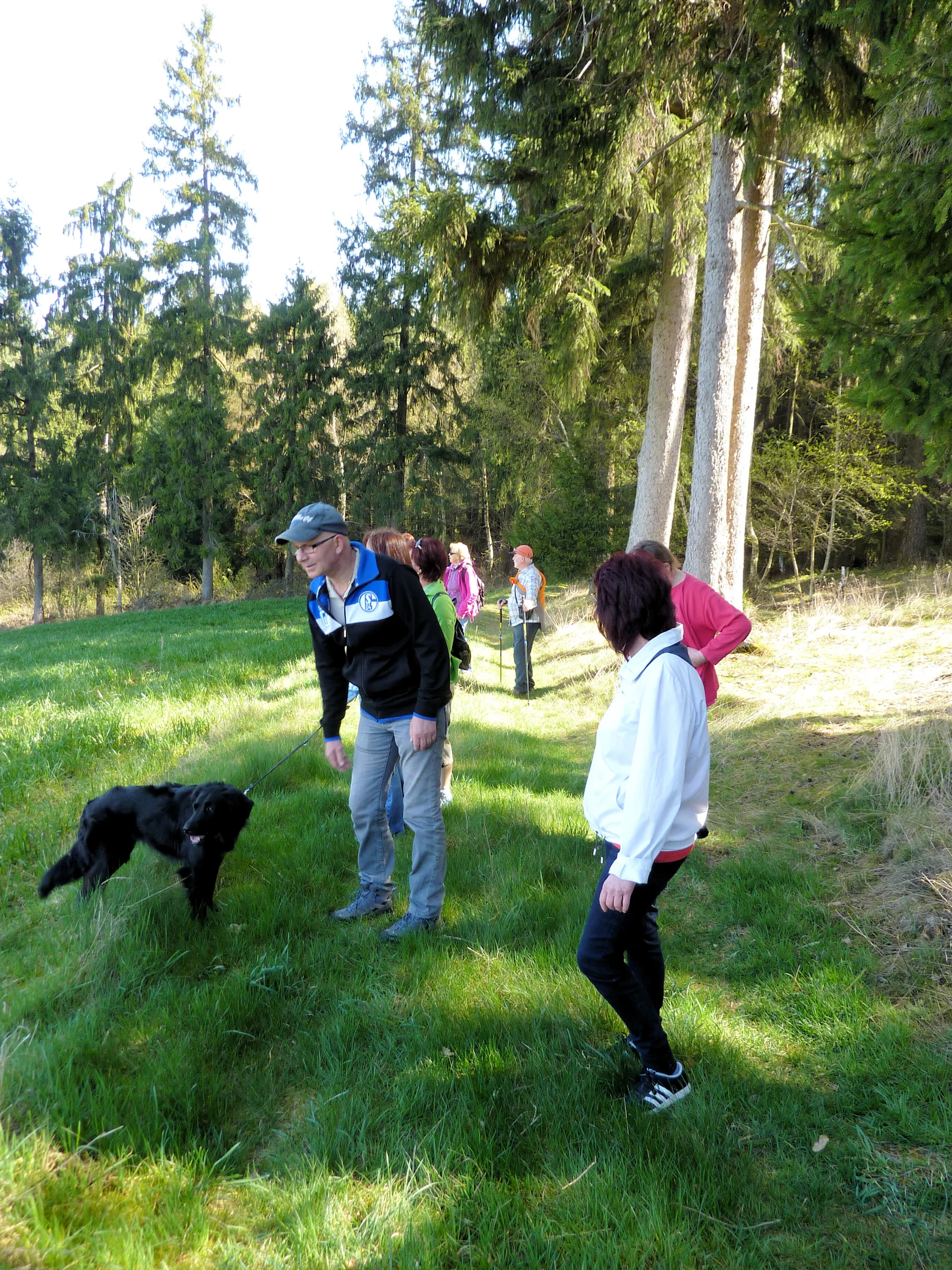 Mooshölzer | © Mooshölzer