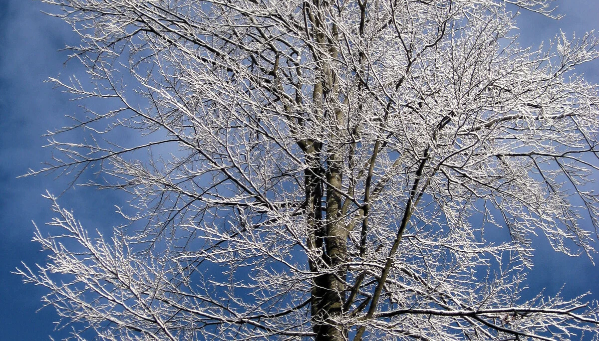 Schwellhäusl | © Schwellhäusl