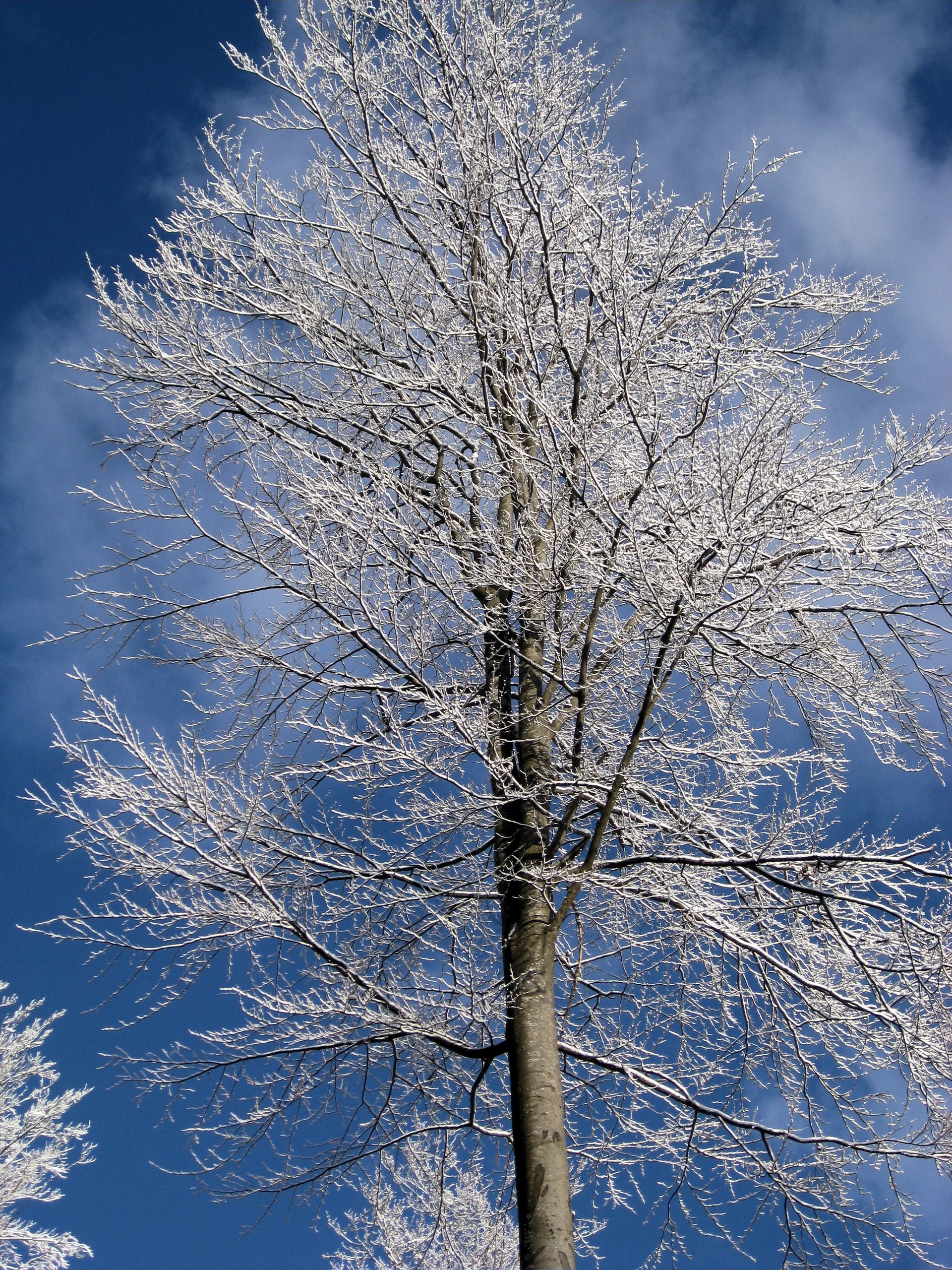 Schwellhäusl | © Schwellhäusl