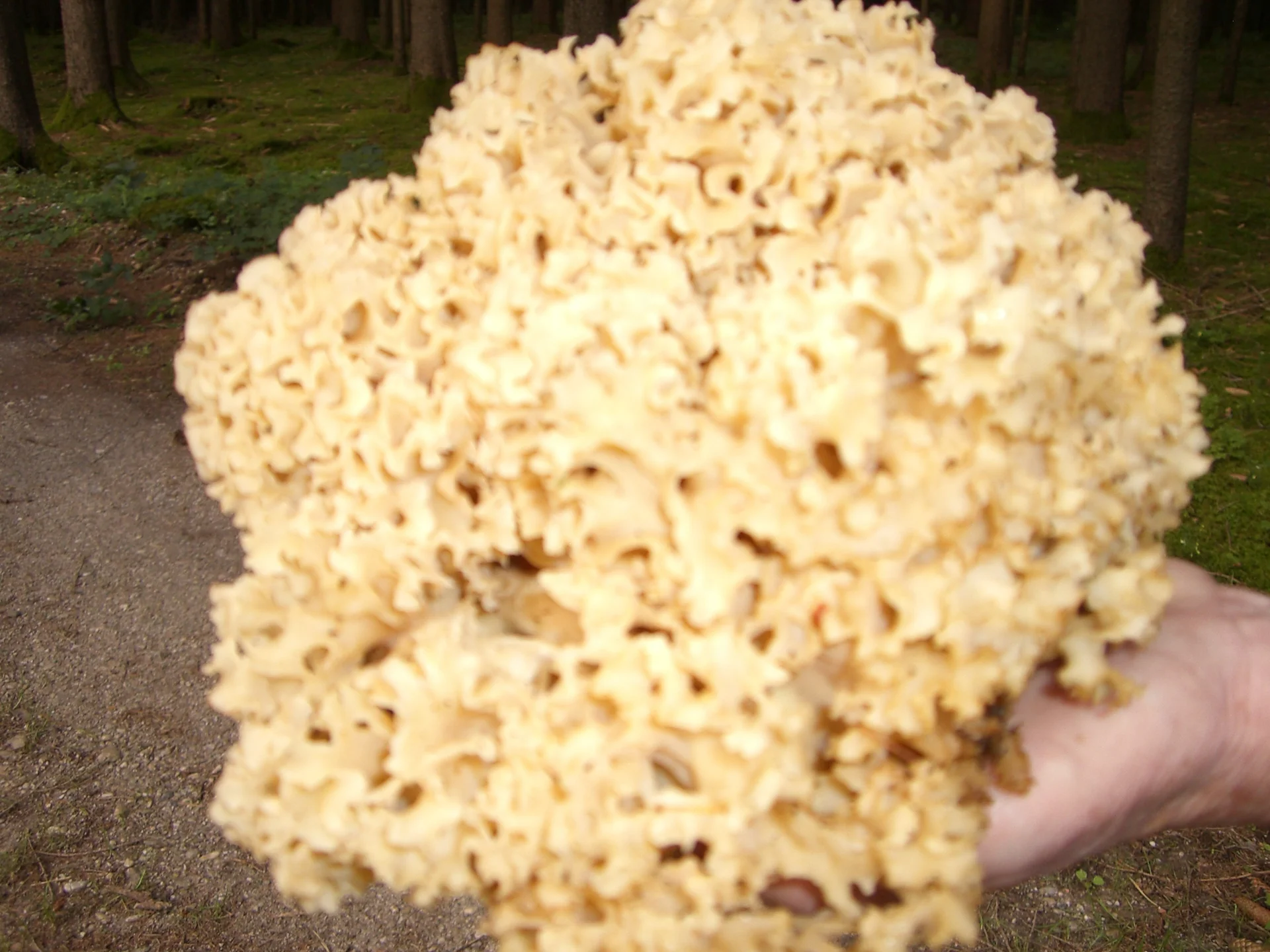 Entensee | © Entensee