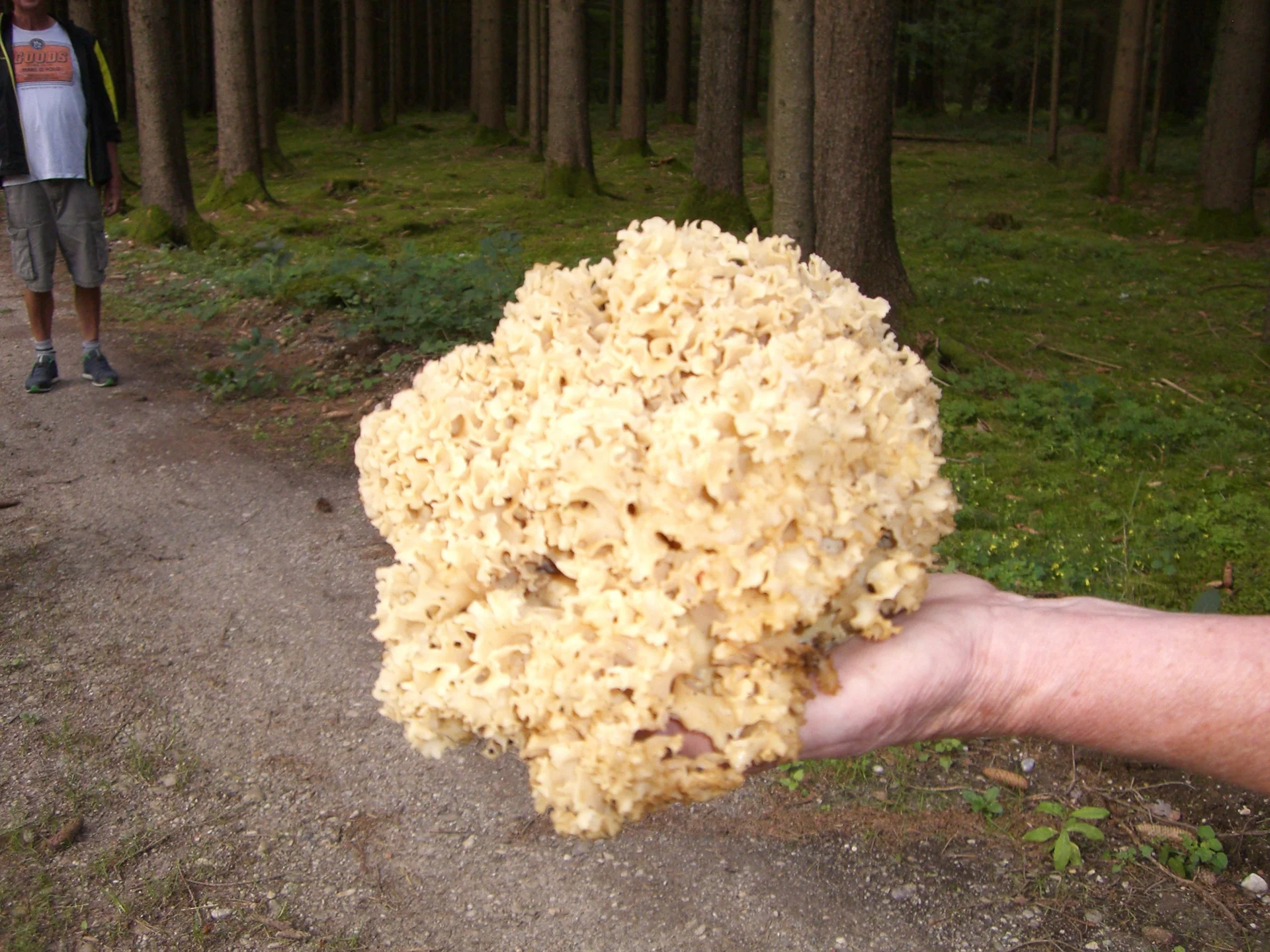 Entensee | © Entensee