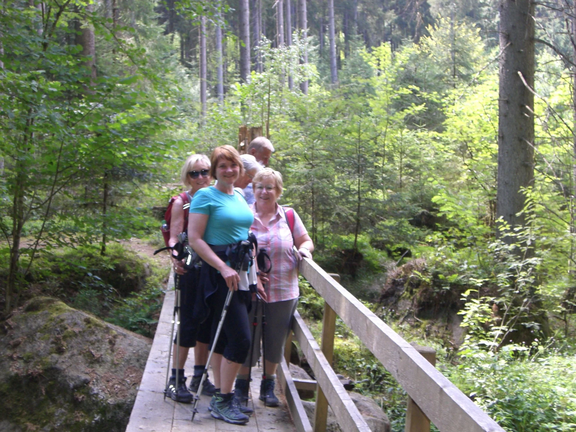 Drachselried | © Drachselried