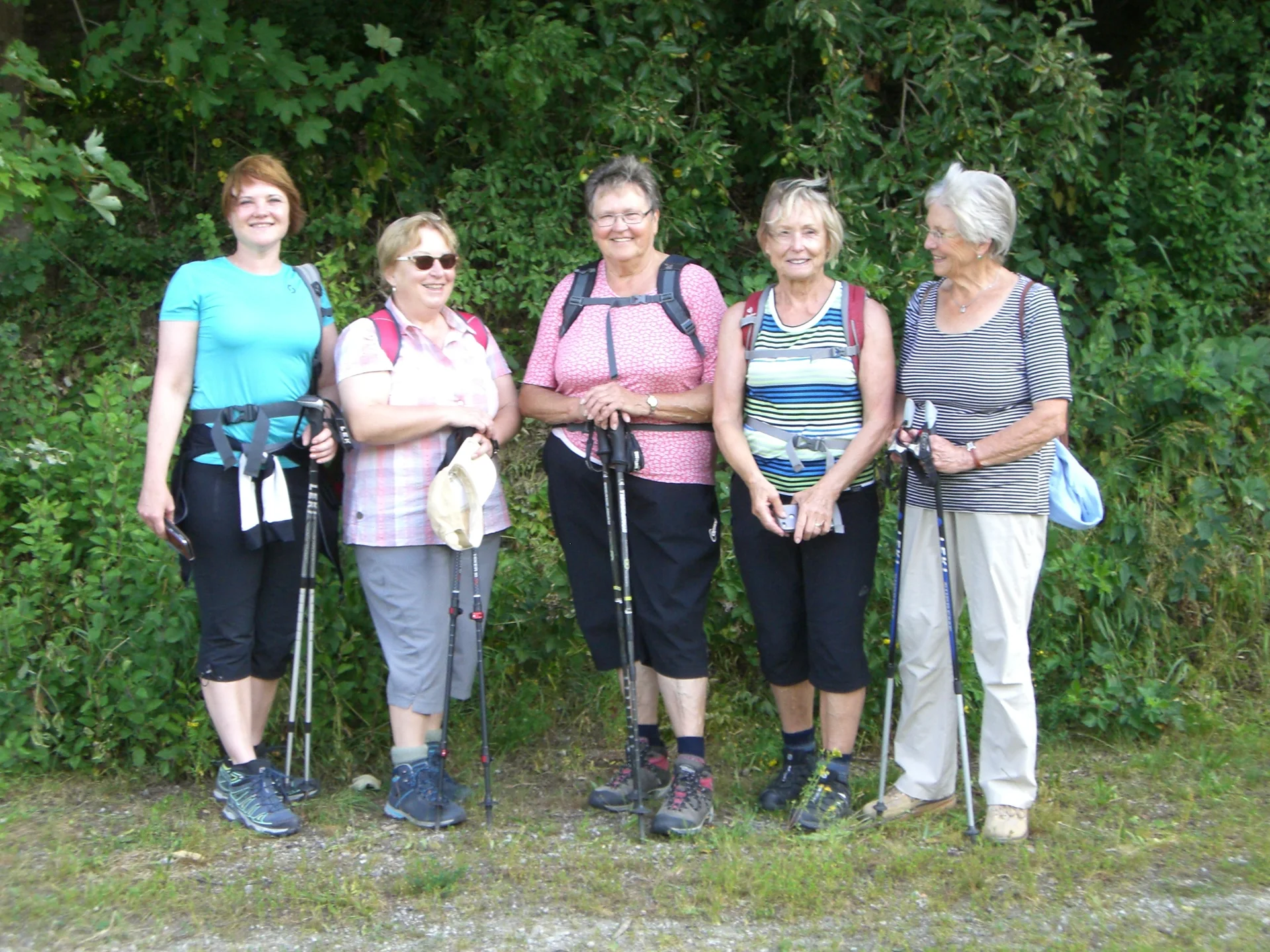 Drachselried | © Drachselried