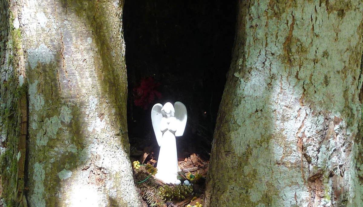 Falkenstein | © Falkenstein