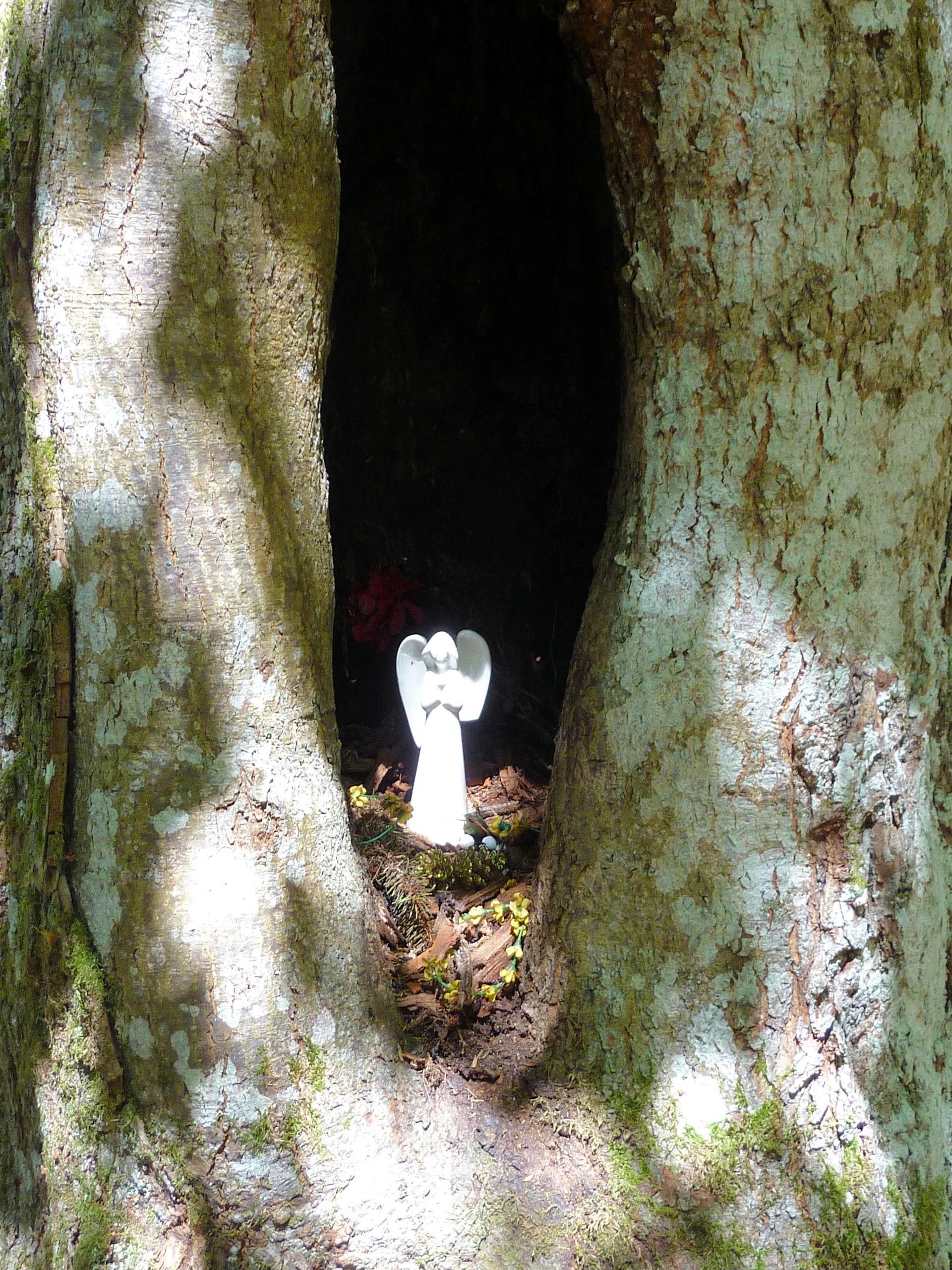 Falkenstein | © Falkenstein