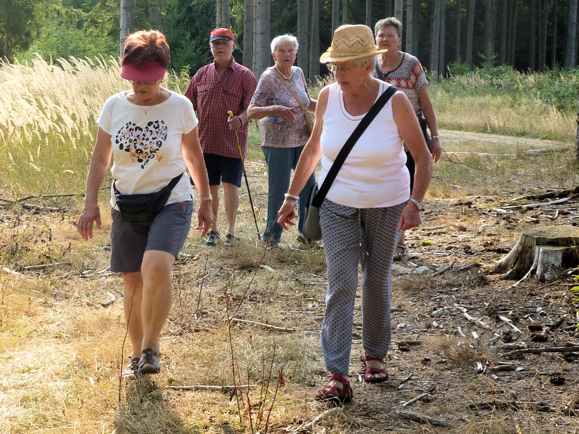 Fuchsberg | © Fuchsberg