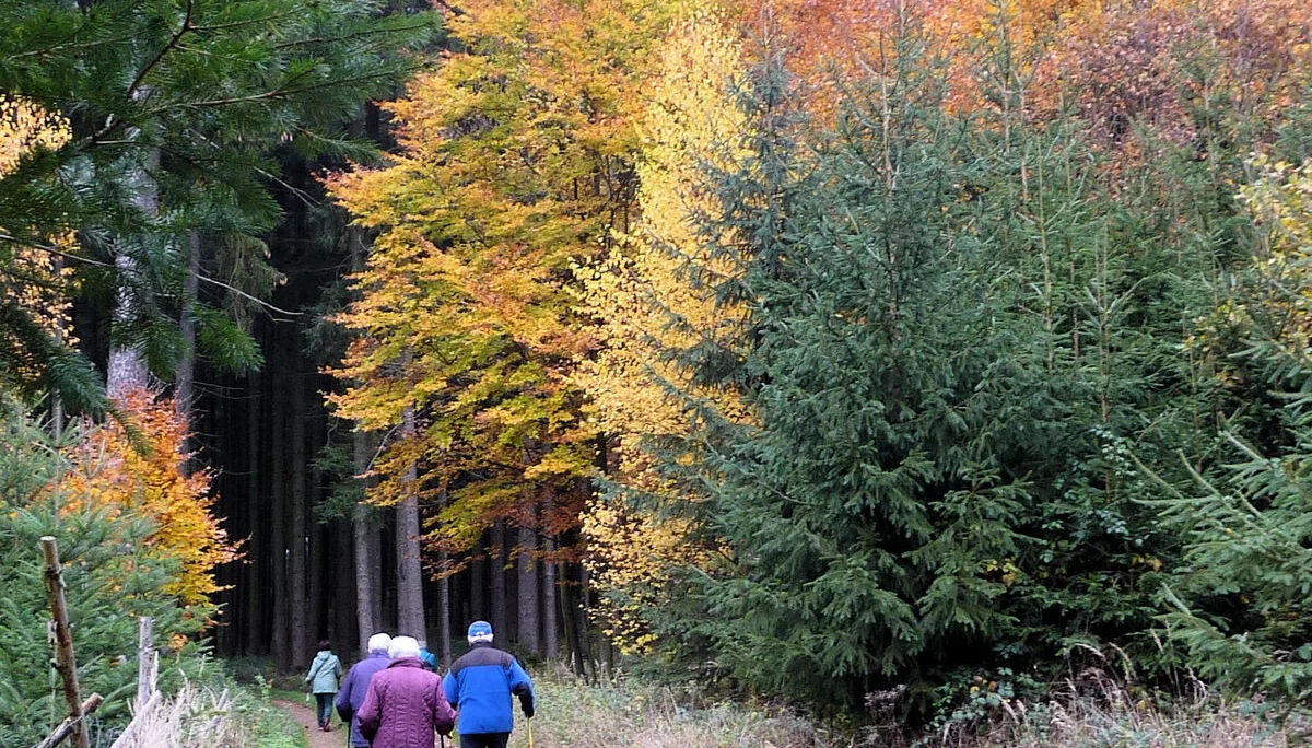 Kalte Gasse | © Kalte Gasse