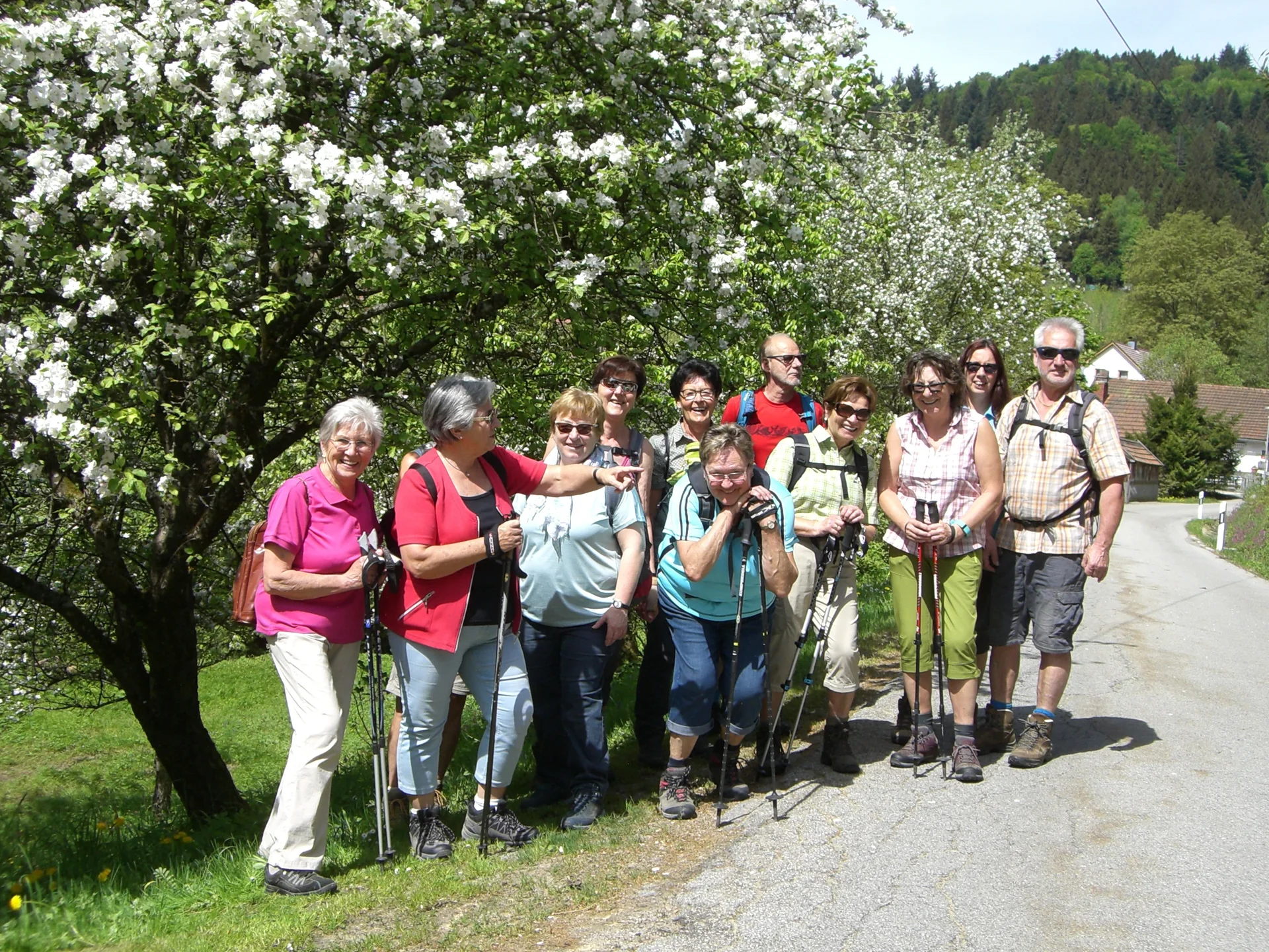 Saulochschlucht | © Saulochschlucht