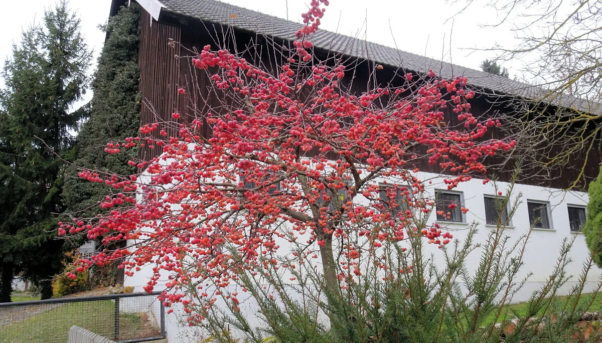 Salettl | © Salettl