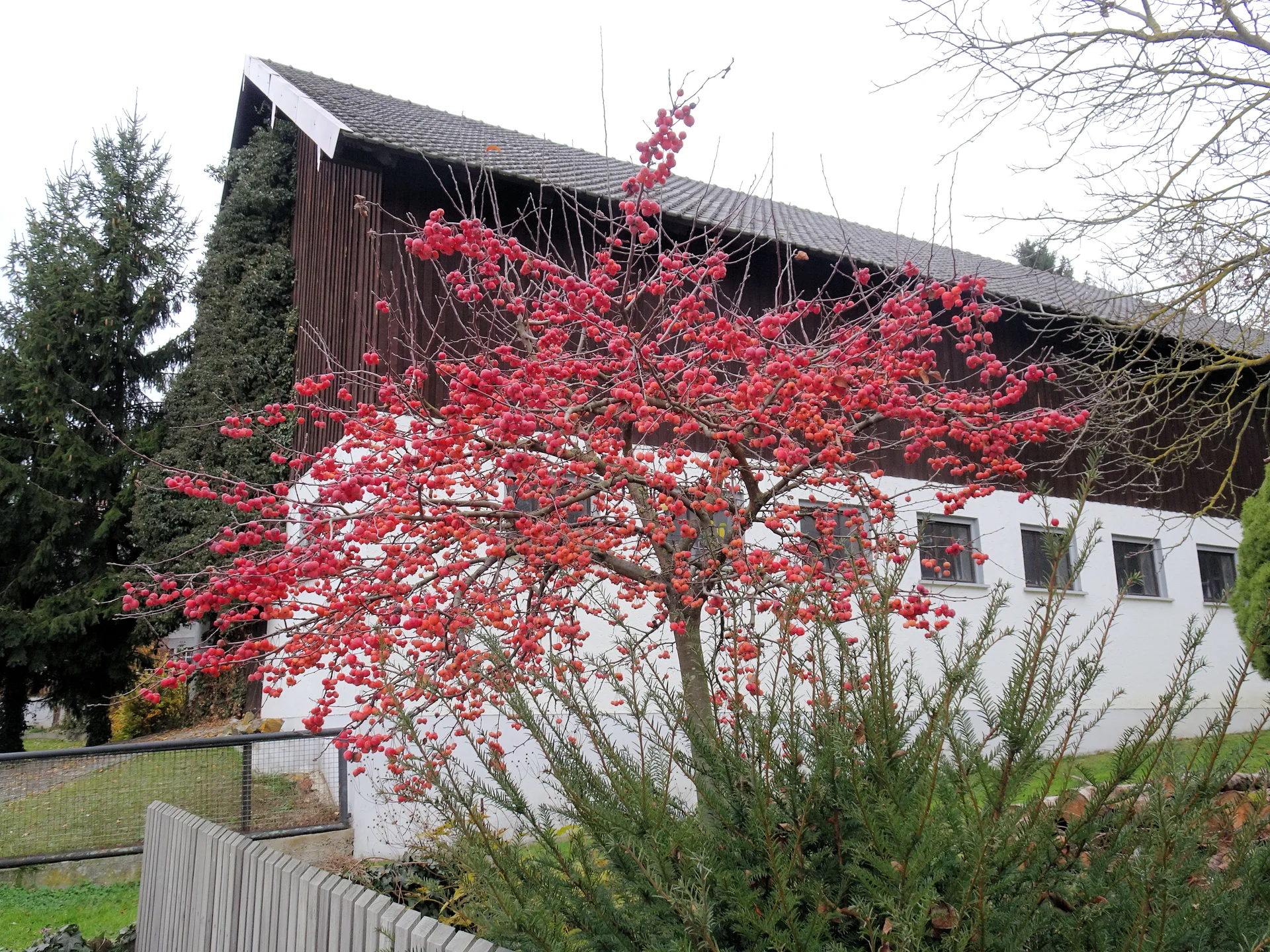 Salettl | © Salettl