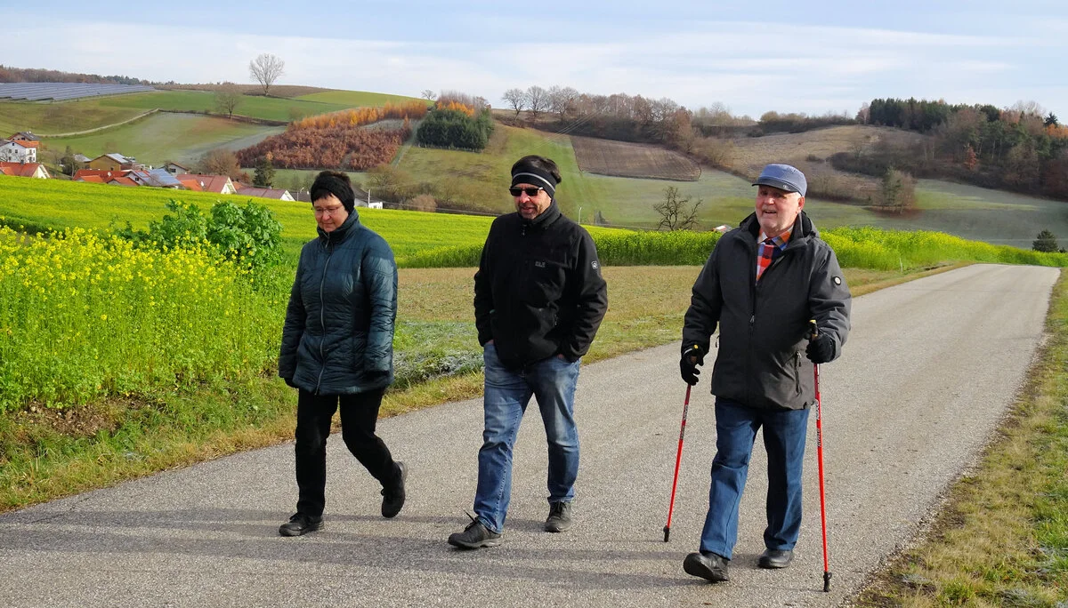 Salettl | © Salettl