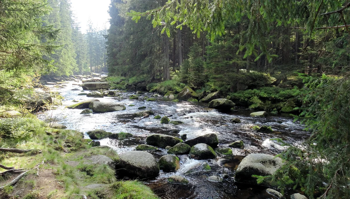 Böhmen | © Böhmen