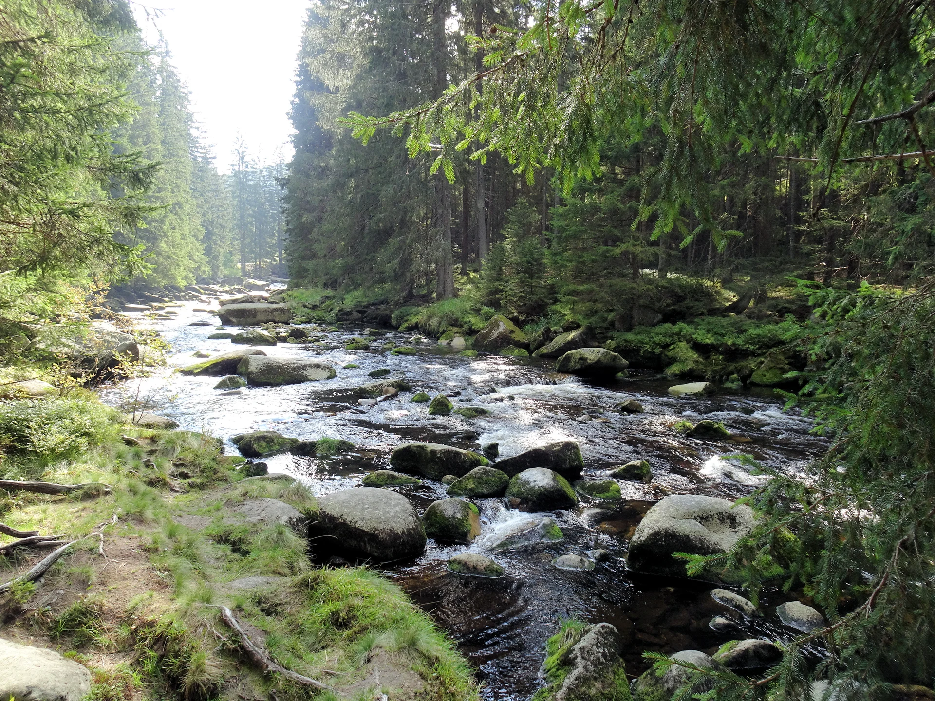 Böhmen | © Böhmen