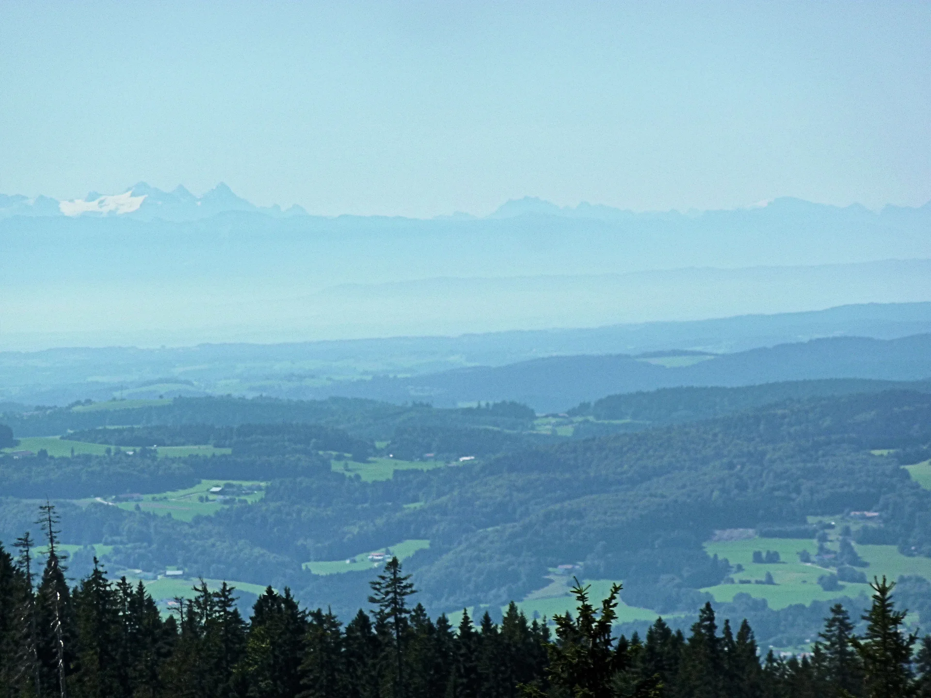 Dreisessel | © Dreisessel