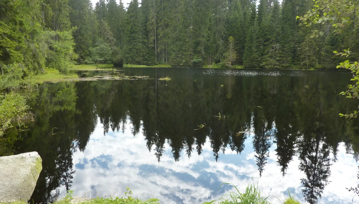 Dreisessel | © Dreisessel