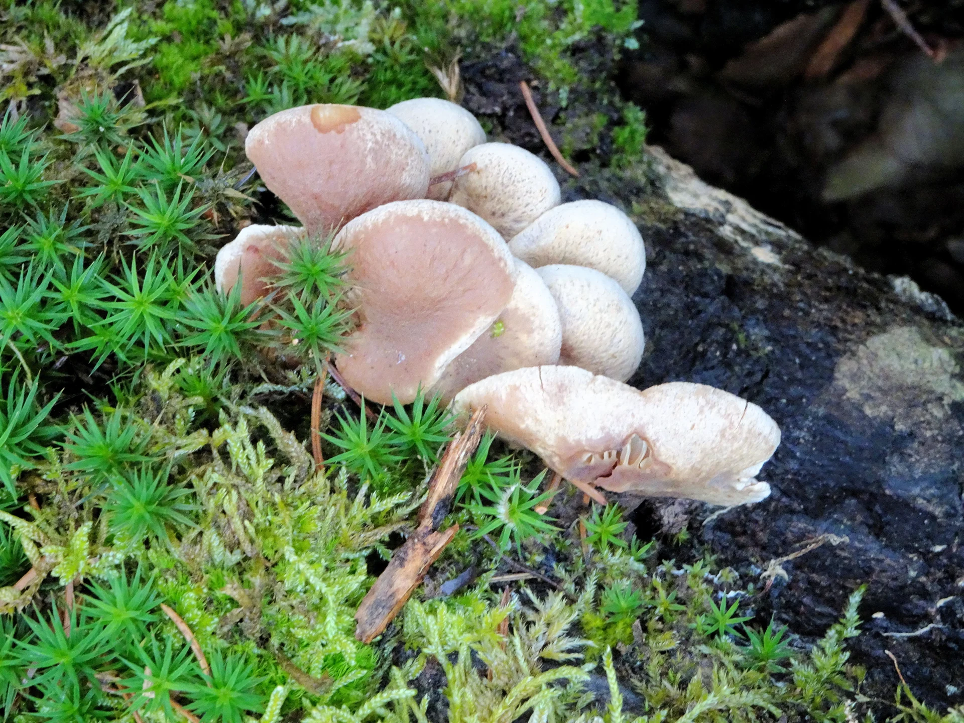 Neukreit | © Neukreit