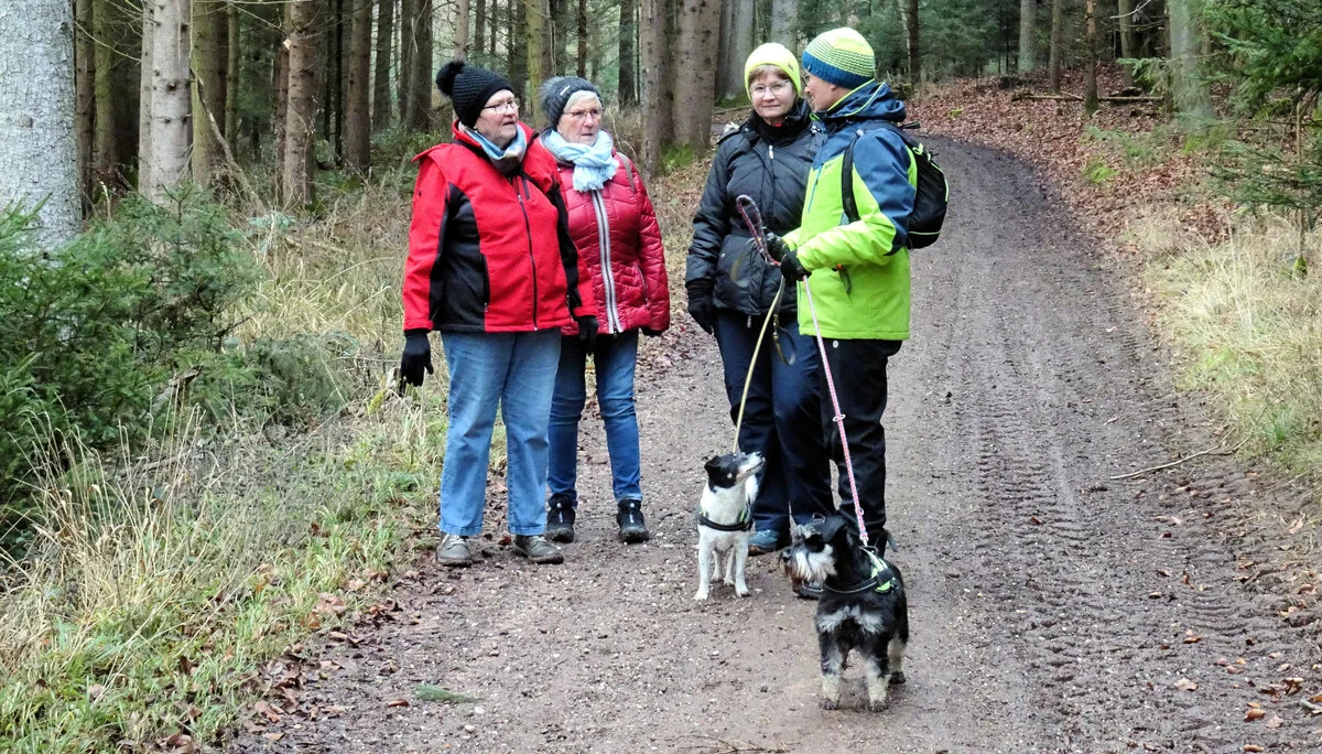 Neukreit | © Neukreit