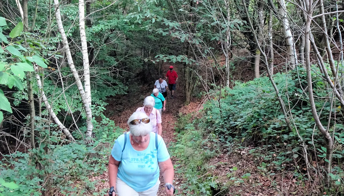 Teisbach | © Teisbach