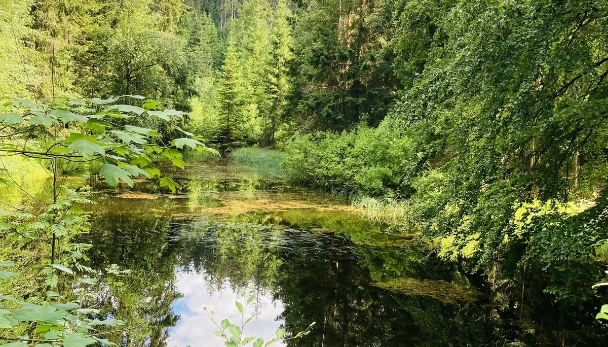 Ochsenkopf | © Killesreiter Marlene