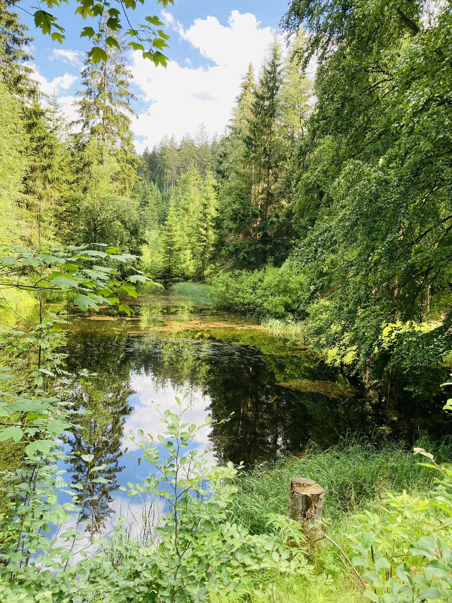 Ochsenkopf | © Killesreiter Marlene