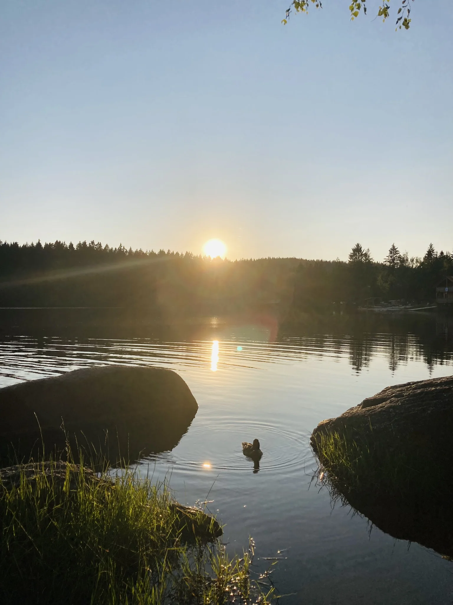 Schneeberg | © Killesreiter Marlene