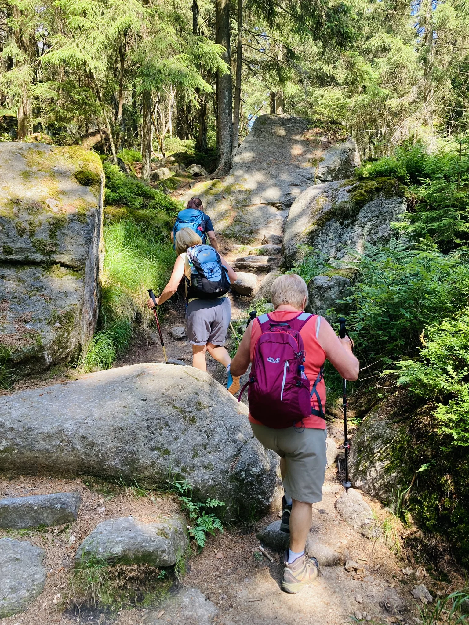 Schneeberg | © Killesreiter Marlene