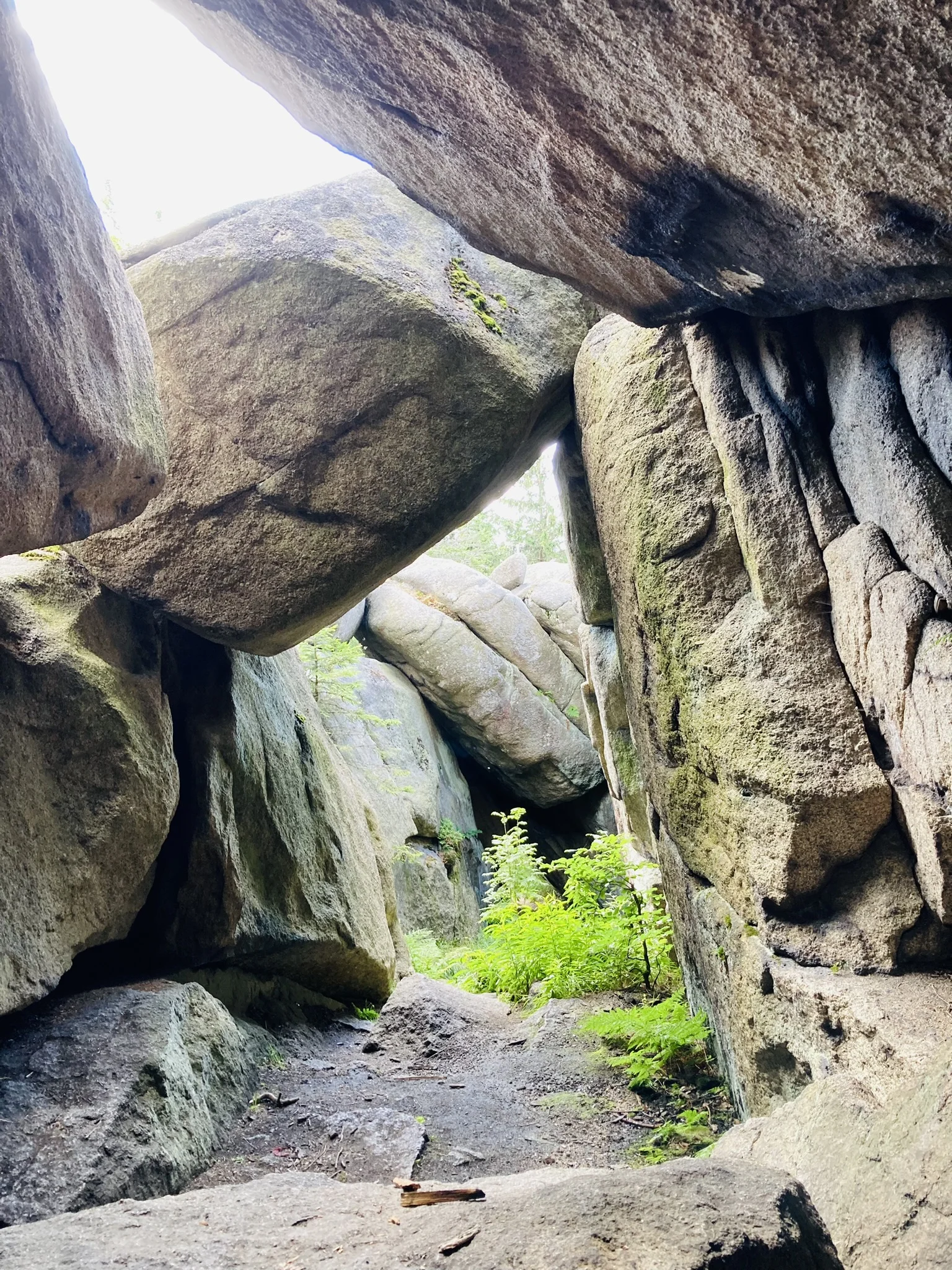 Schneeberg | © Killesreiter Marlene