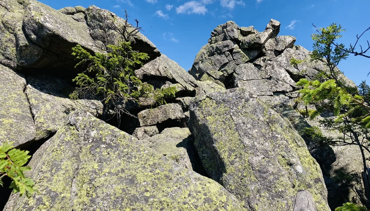 Schneeberg | © Killesreiter Marlene