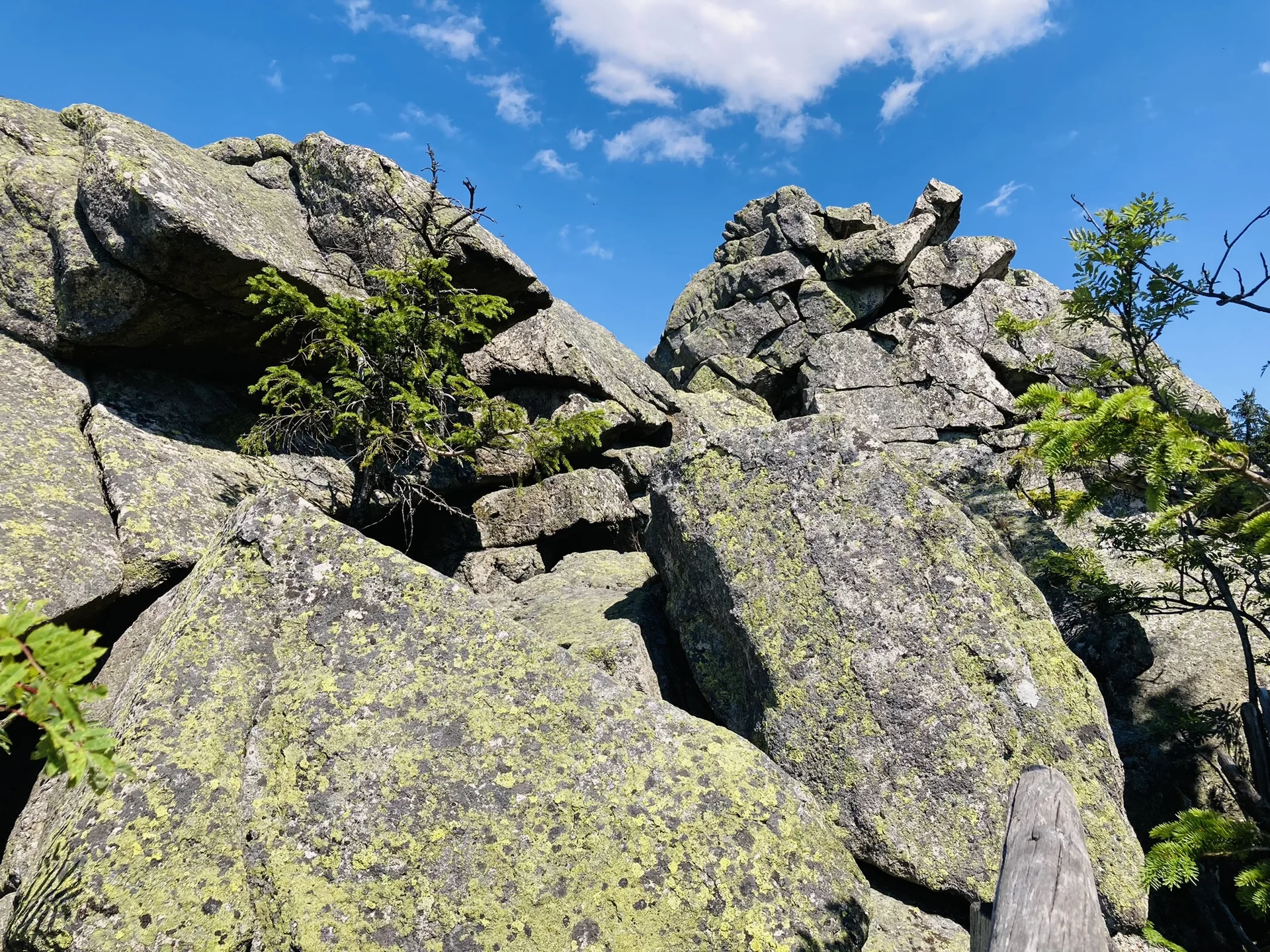 Schneeberg | © Killesreiter Marlene