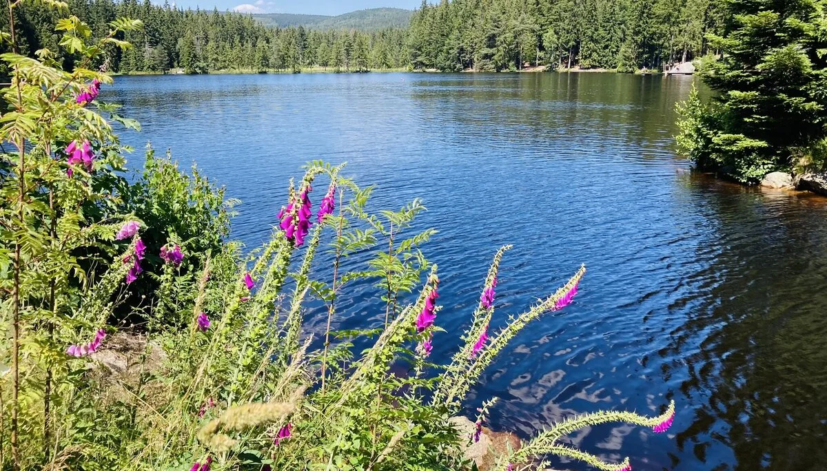 Schneeberg | © Killesreiter Marlene