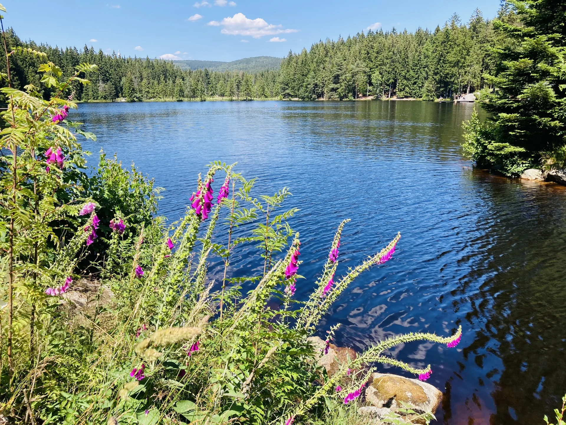 Schneeberg | © Killesreiter Marlene