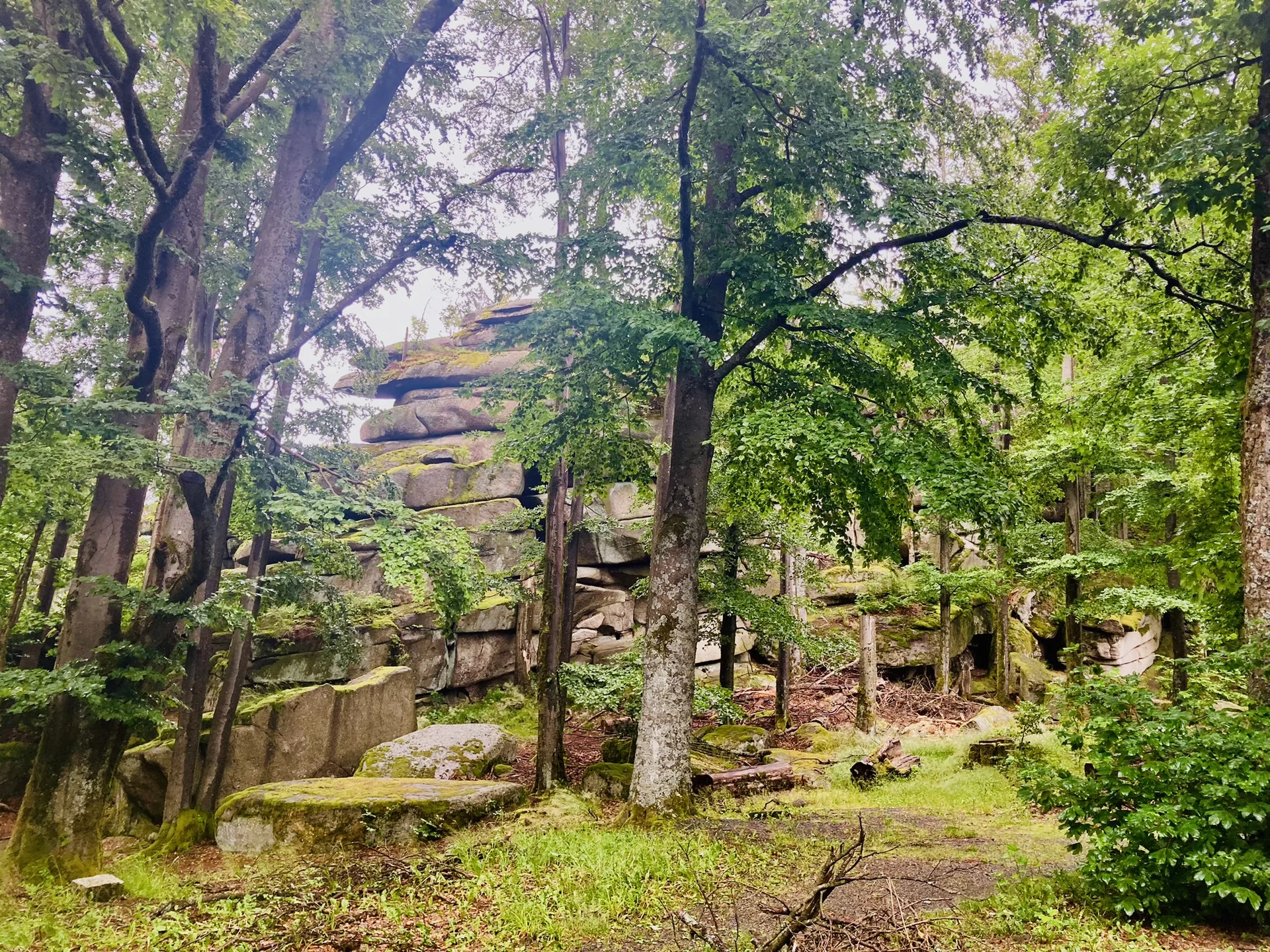 Waldstein | © Killesreiter Marlene