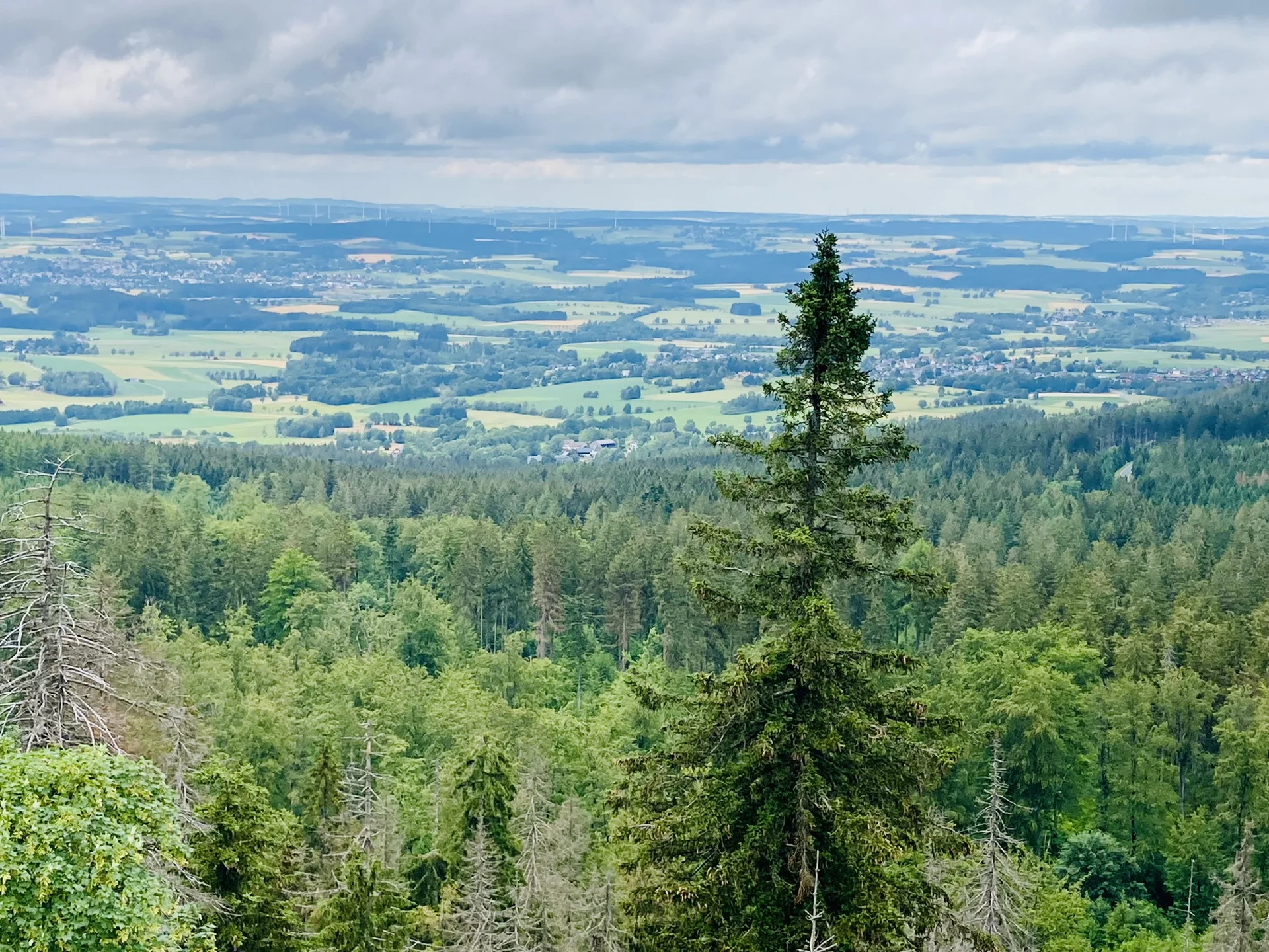 Waldstein | © Killesreiter Marlene