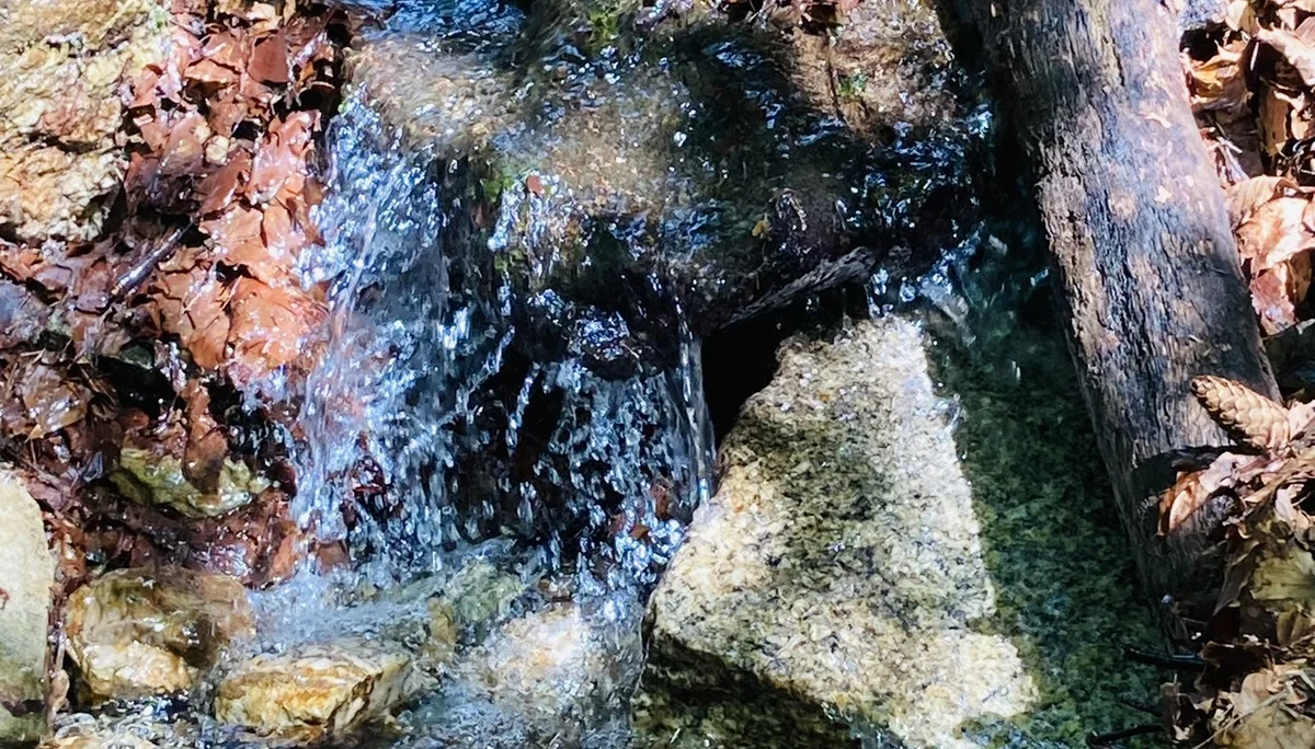 Waldstein | © Killesreiter Marlene