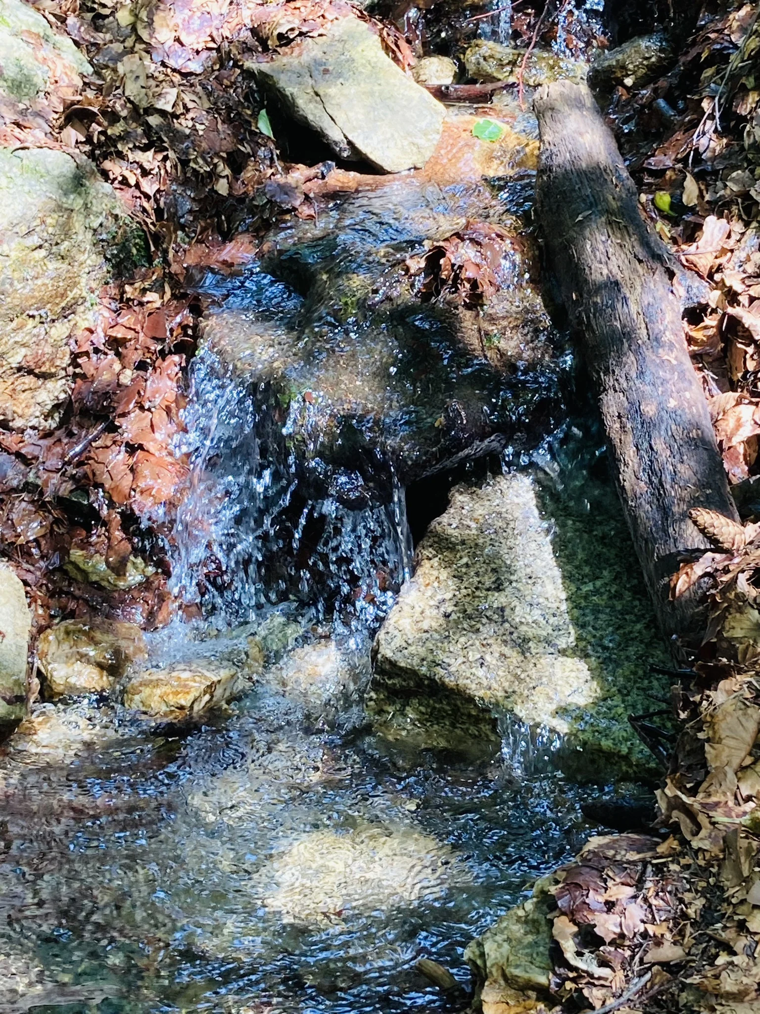 Waldstein | © Killesreiter Marlene