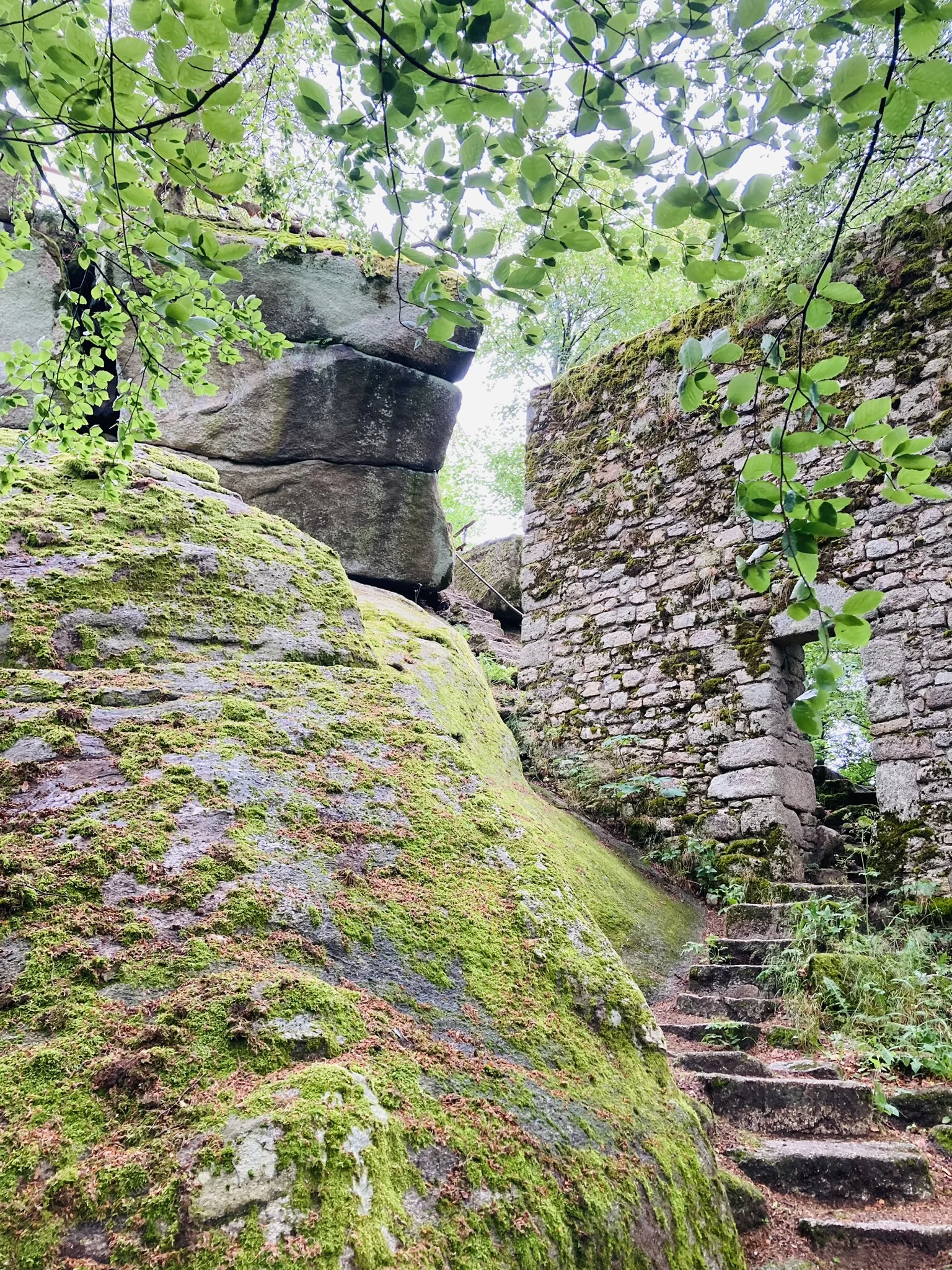 Waldstein | © Killesreiter Marlene