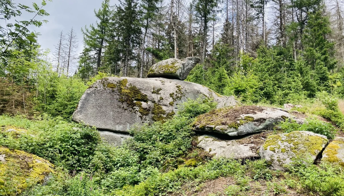 Waldstein | © Killesreiter Marlene