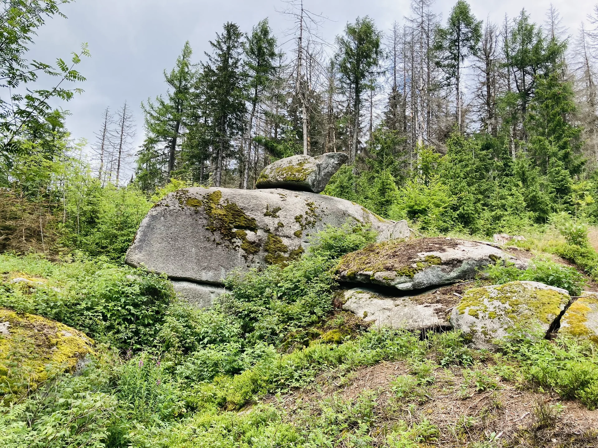 Waldstein | © Killesreiter Marlene