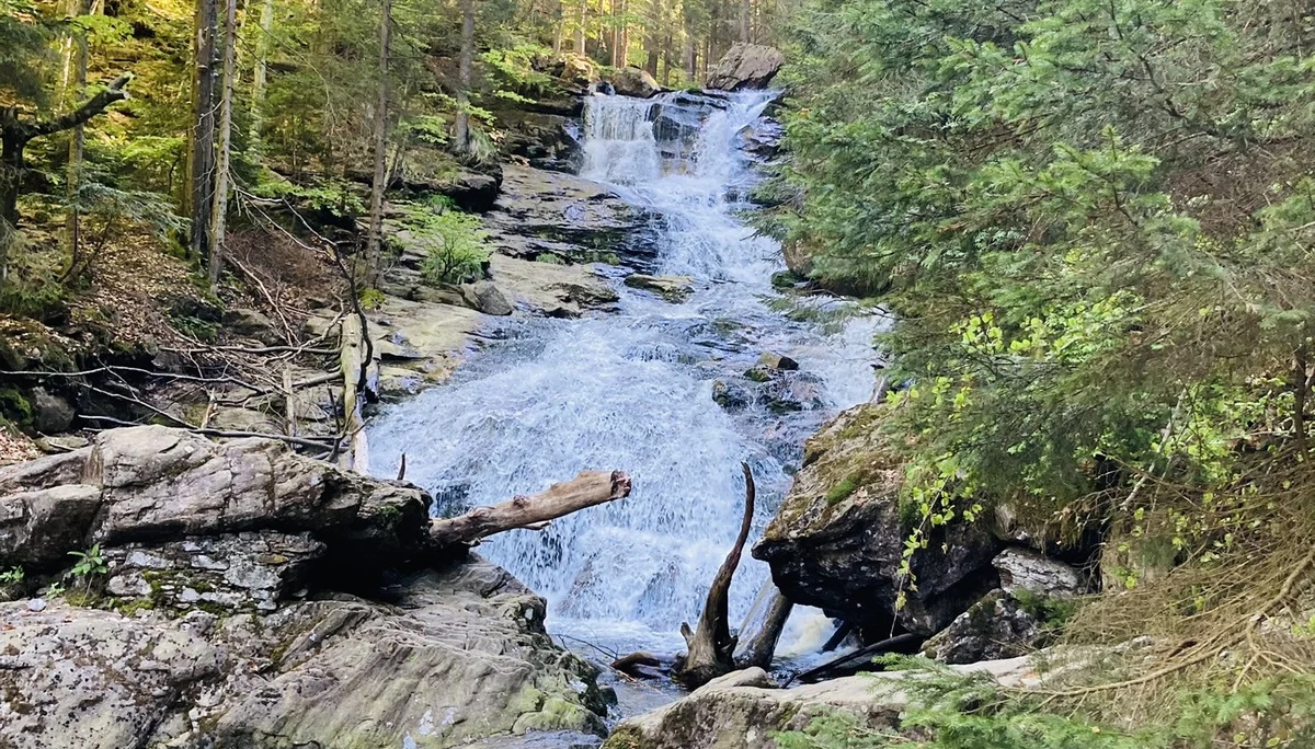 Bodenmaiser Schätze | © Killesreiter Marlene