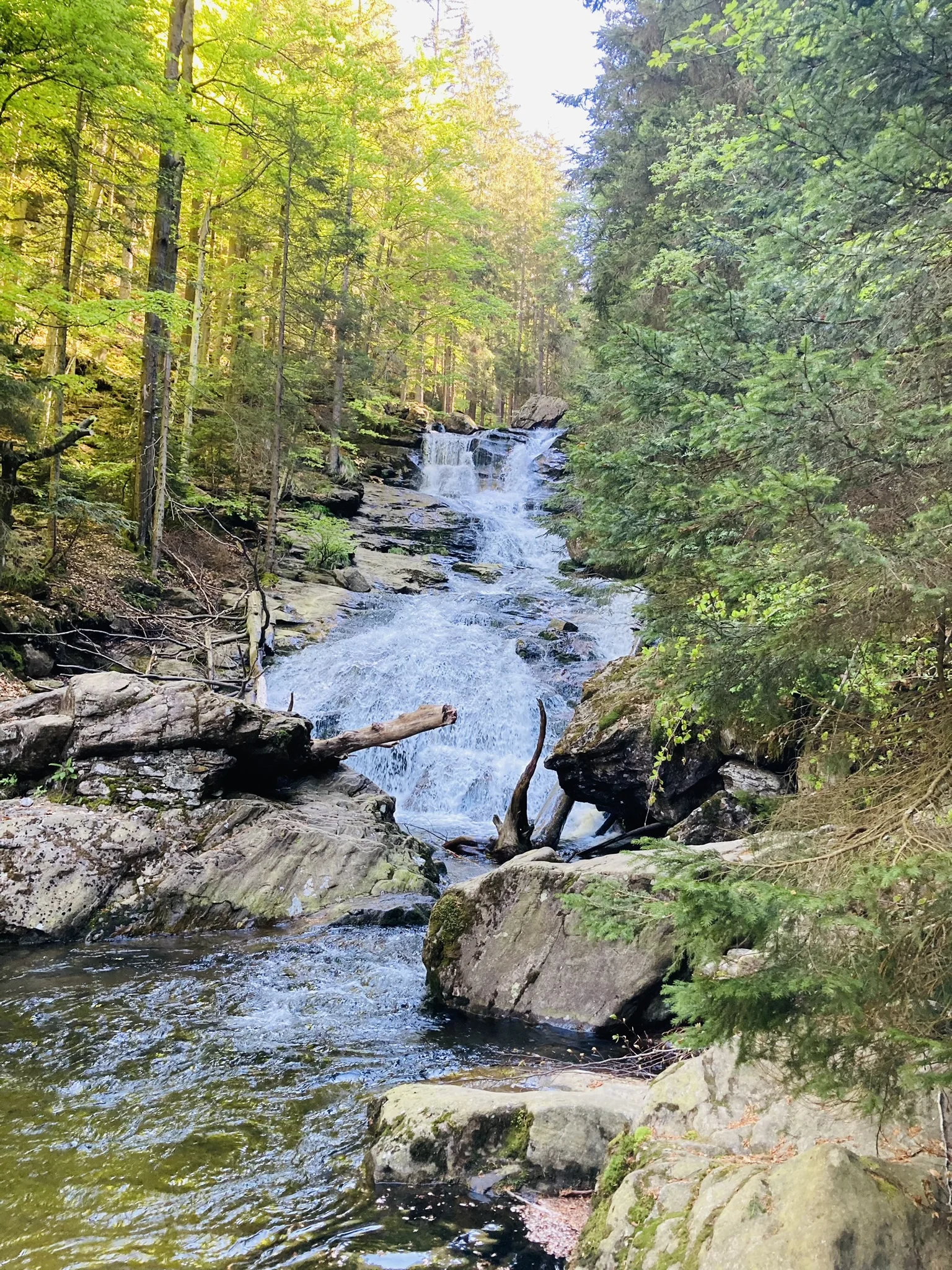 Bodenmaiser Schätze | © Killesreiter Marlene