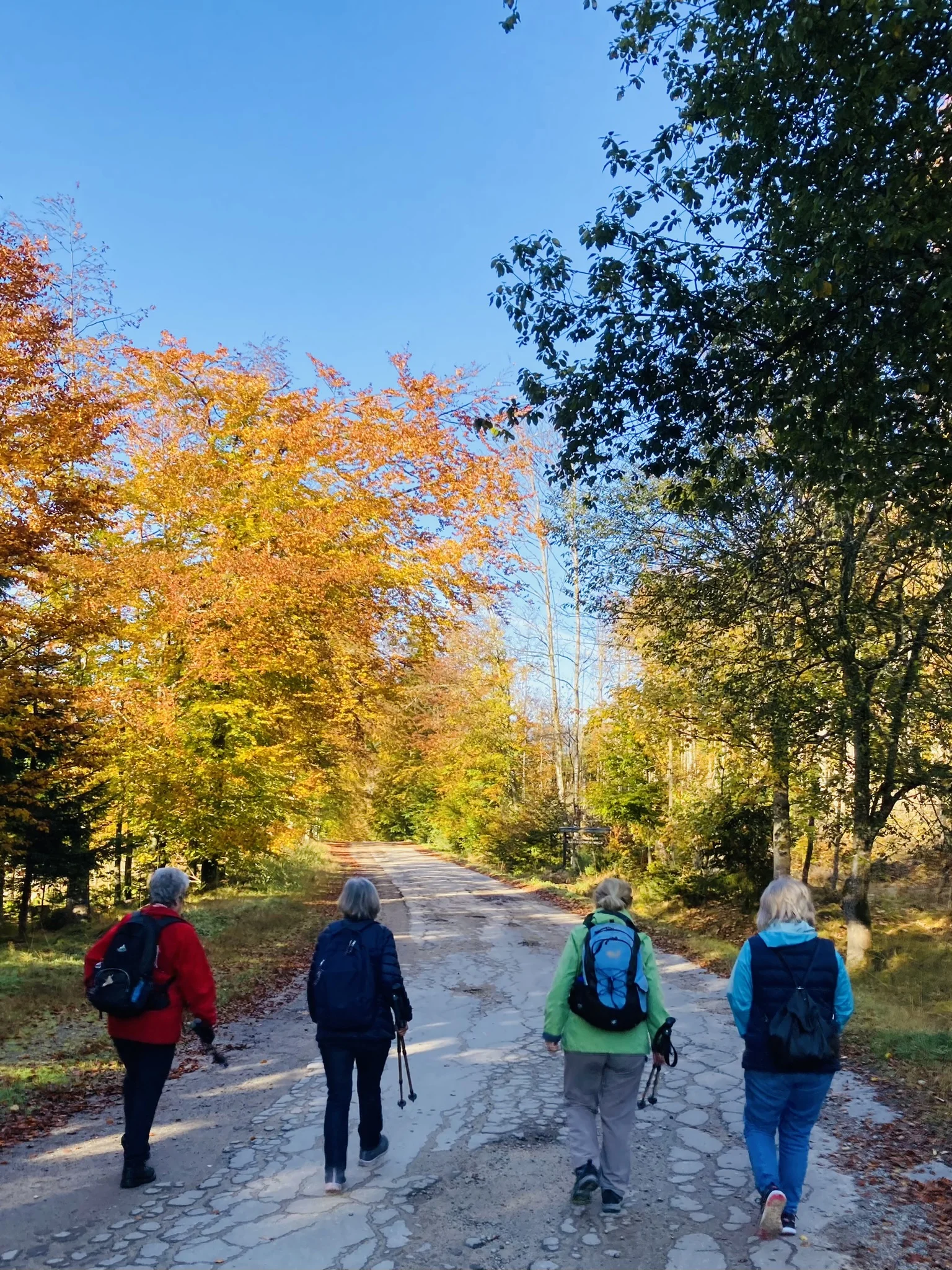 Herbstwanderung im Nationalpark Bayerischer Wald | © Killesreiter Marlene