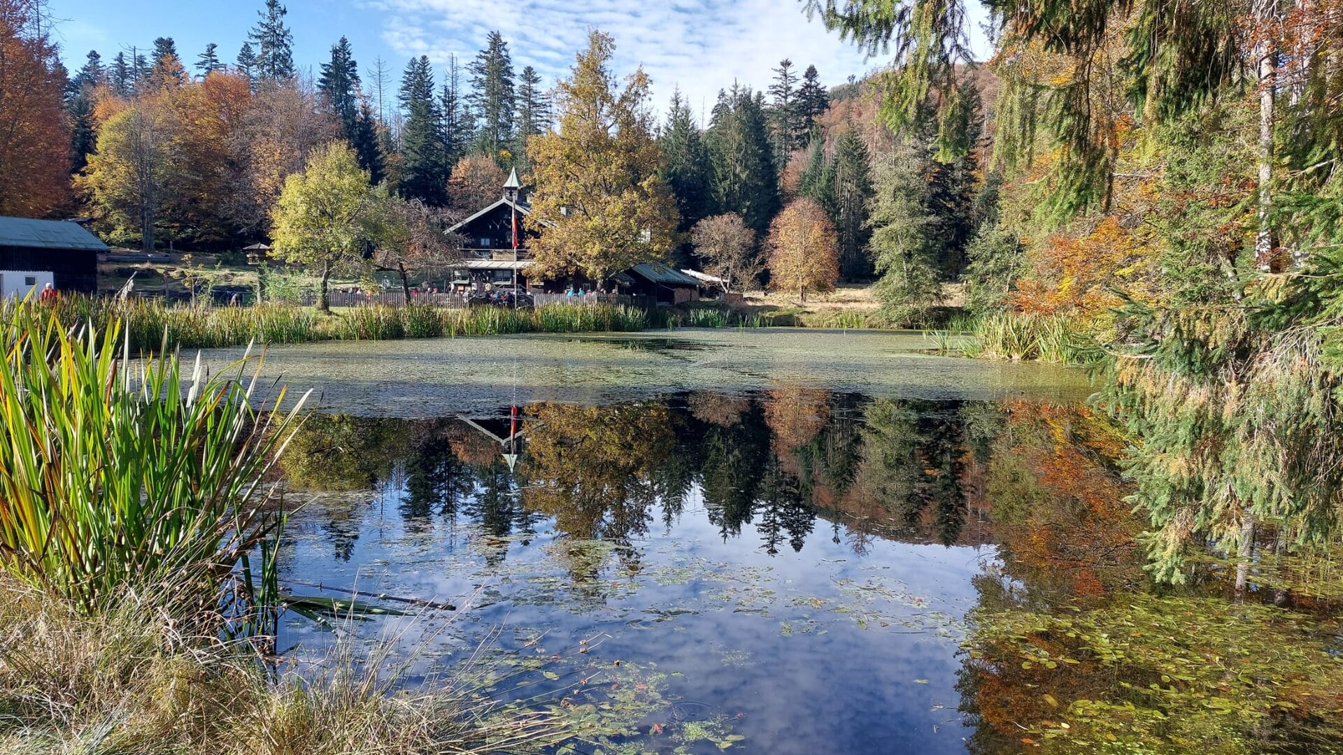 Herbstwanderung im Nationalpark Bayerischer Wald | © Killesreiter Marlene Herbstwanderung im Nationalpark Bayerischer Wald | © Killesreiter Marlene